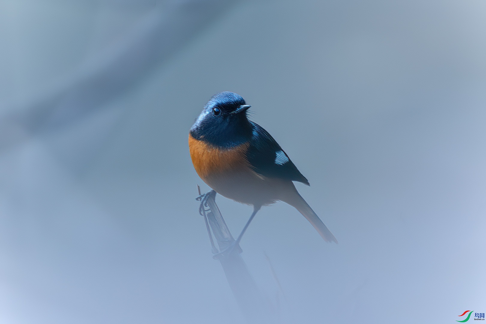 DSC_8370.jpg