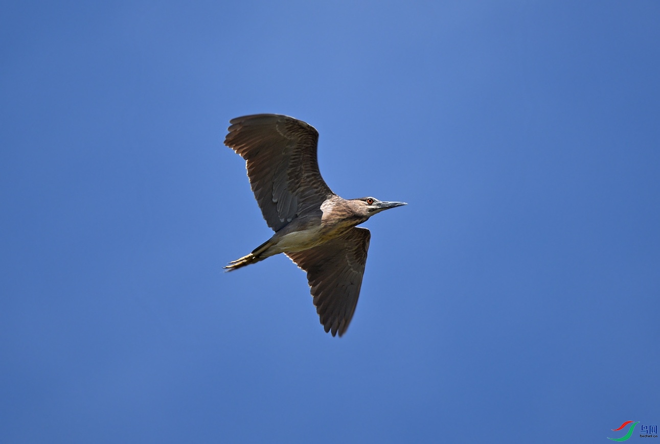 DSC_9708f.jpg