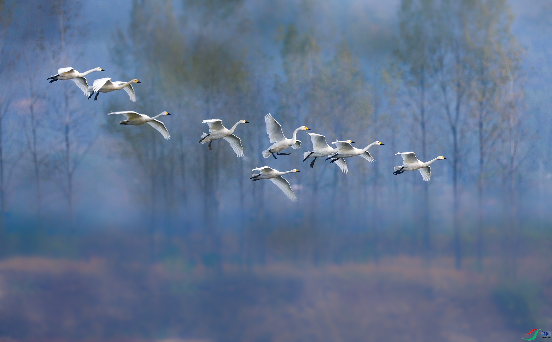 ��ͼ083A3841.jpg