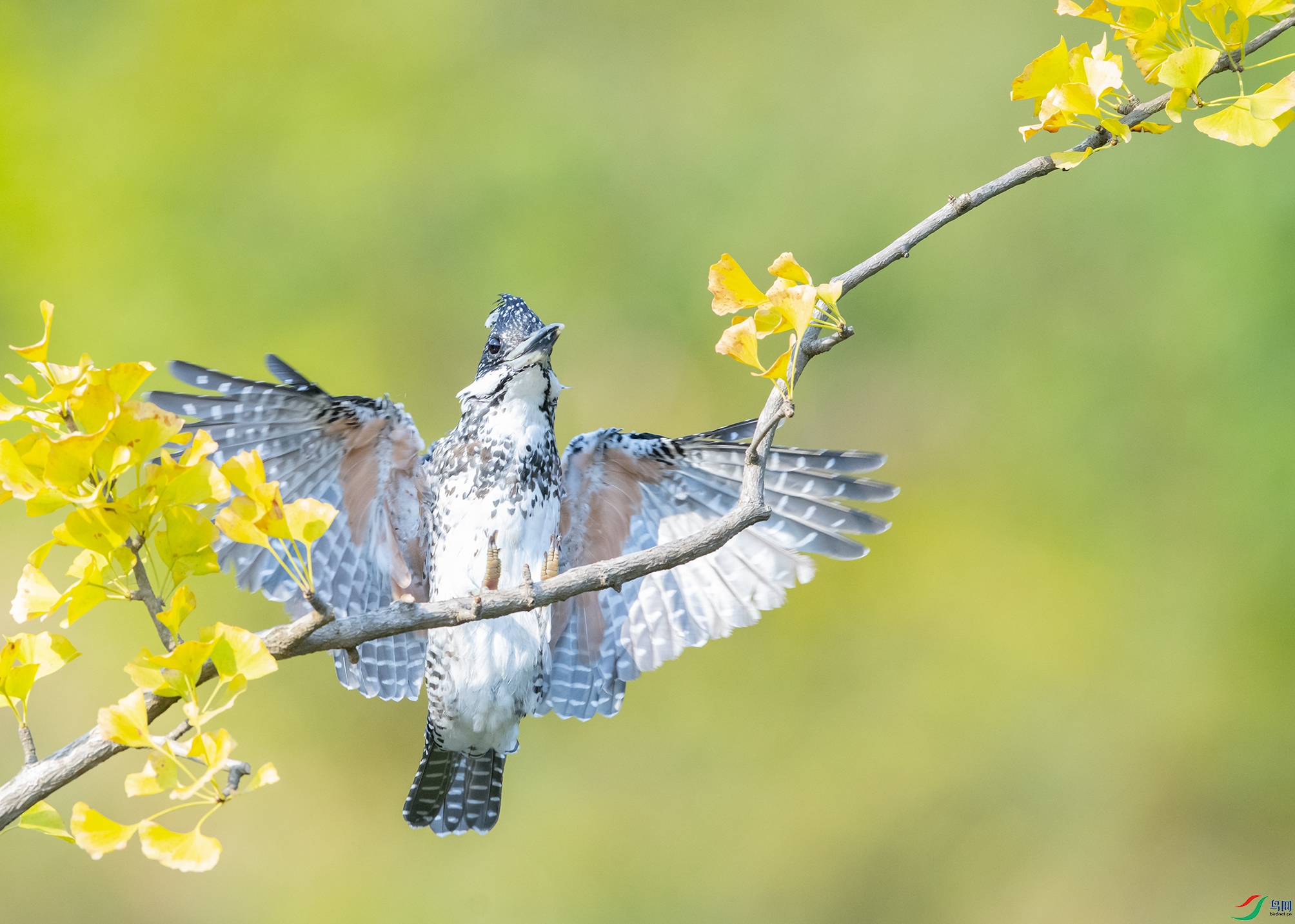 0894-3 ����.jpg