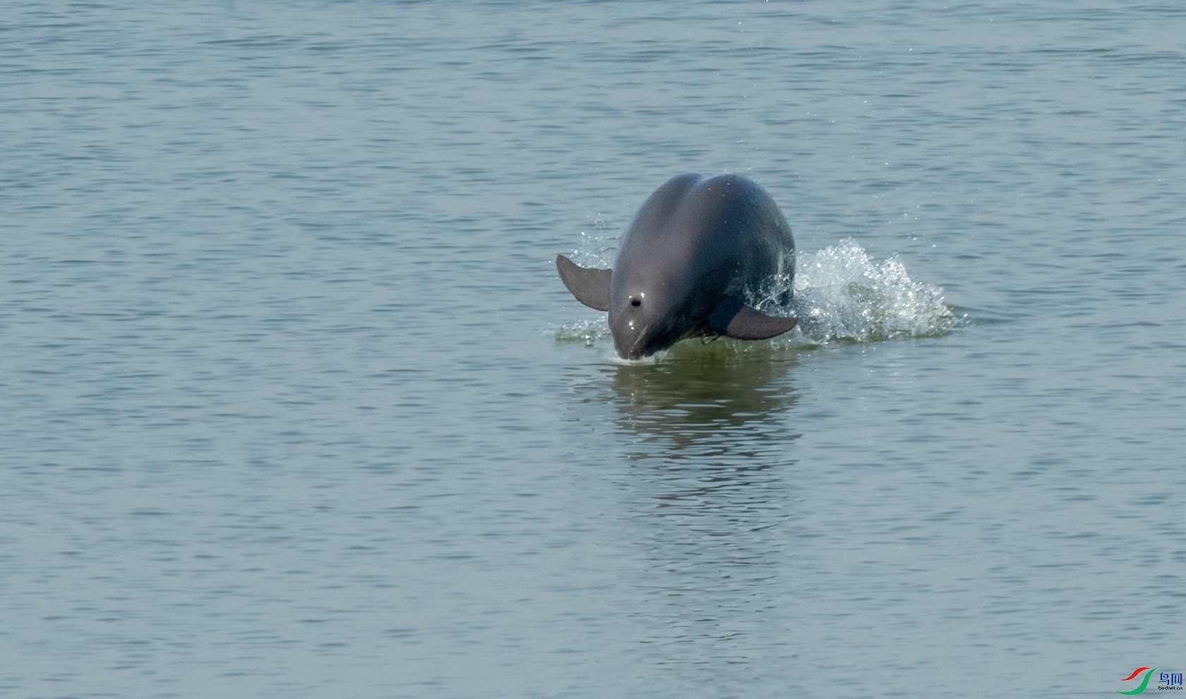 DSC_3188.jpg