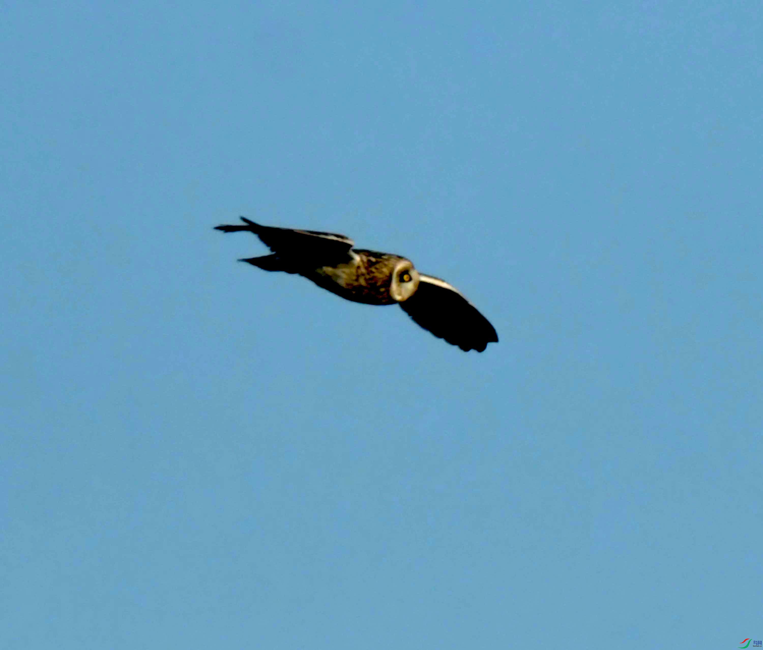 DSC_8904.JPG
