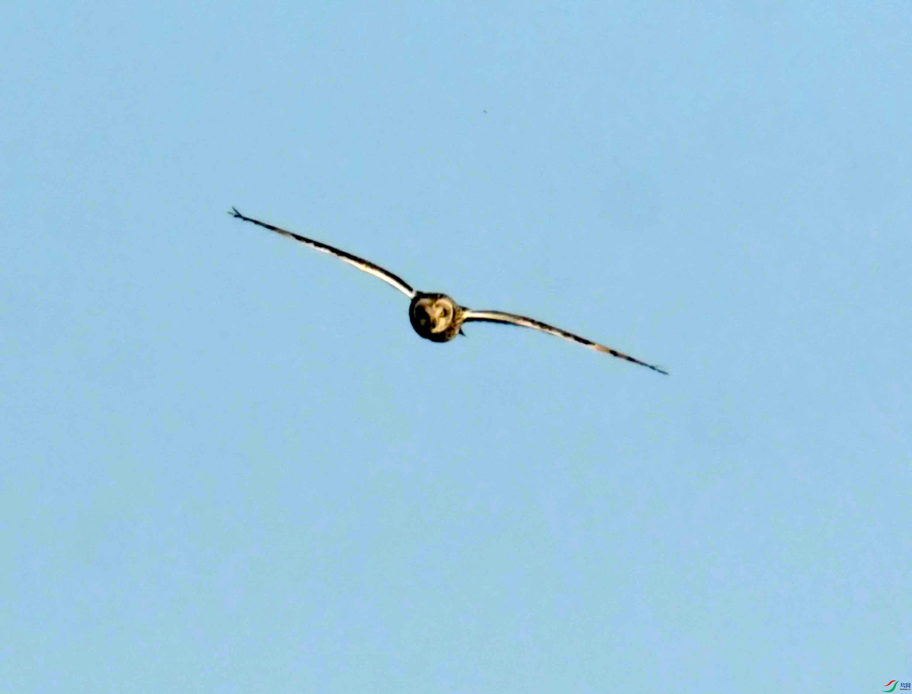 DSC_8948.JPG