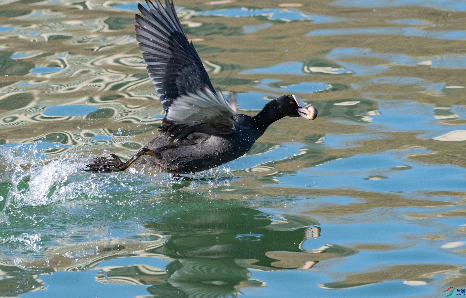 DSC_4903.jpg