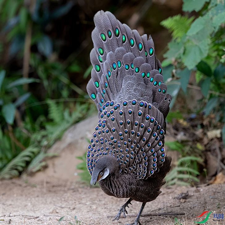 DSC_6054_DxOa.jpg