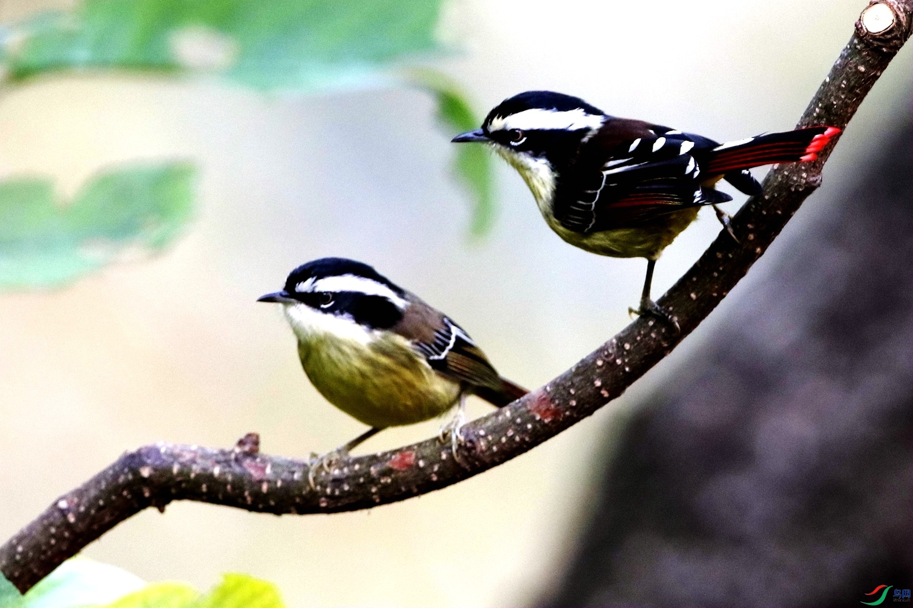 75 _����.jpg