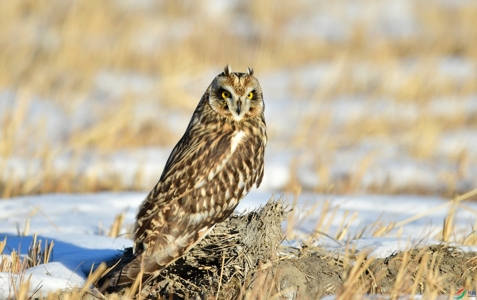 WZL_5755.jpg