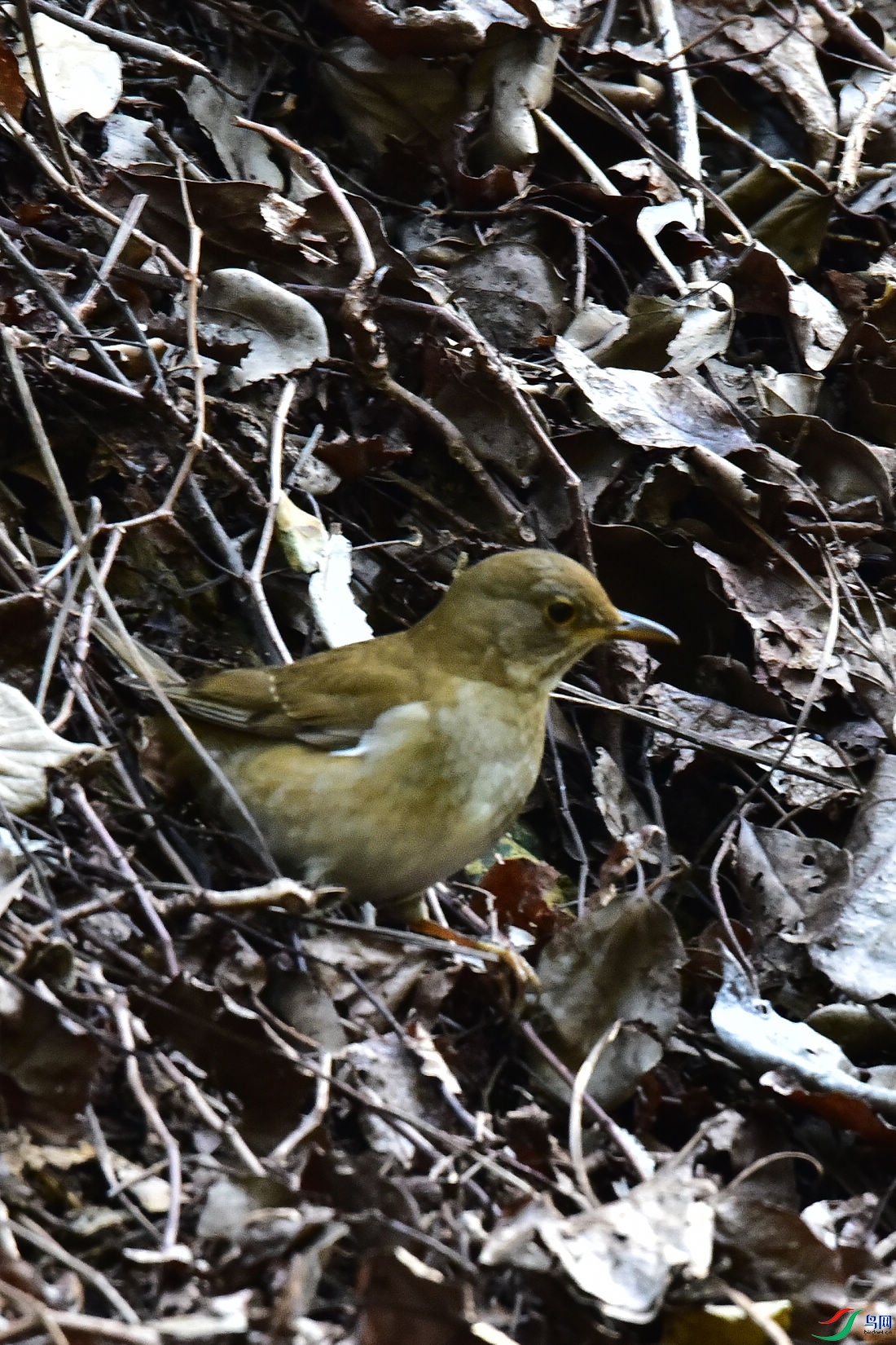 DSC_9122.JPG