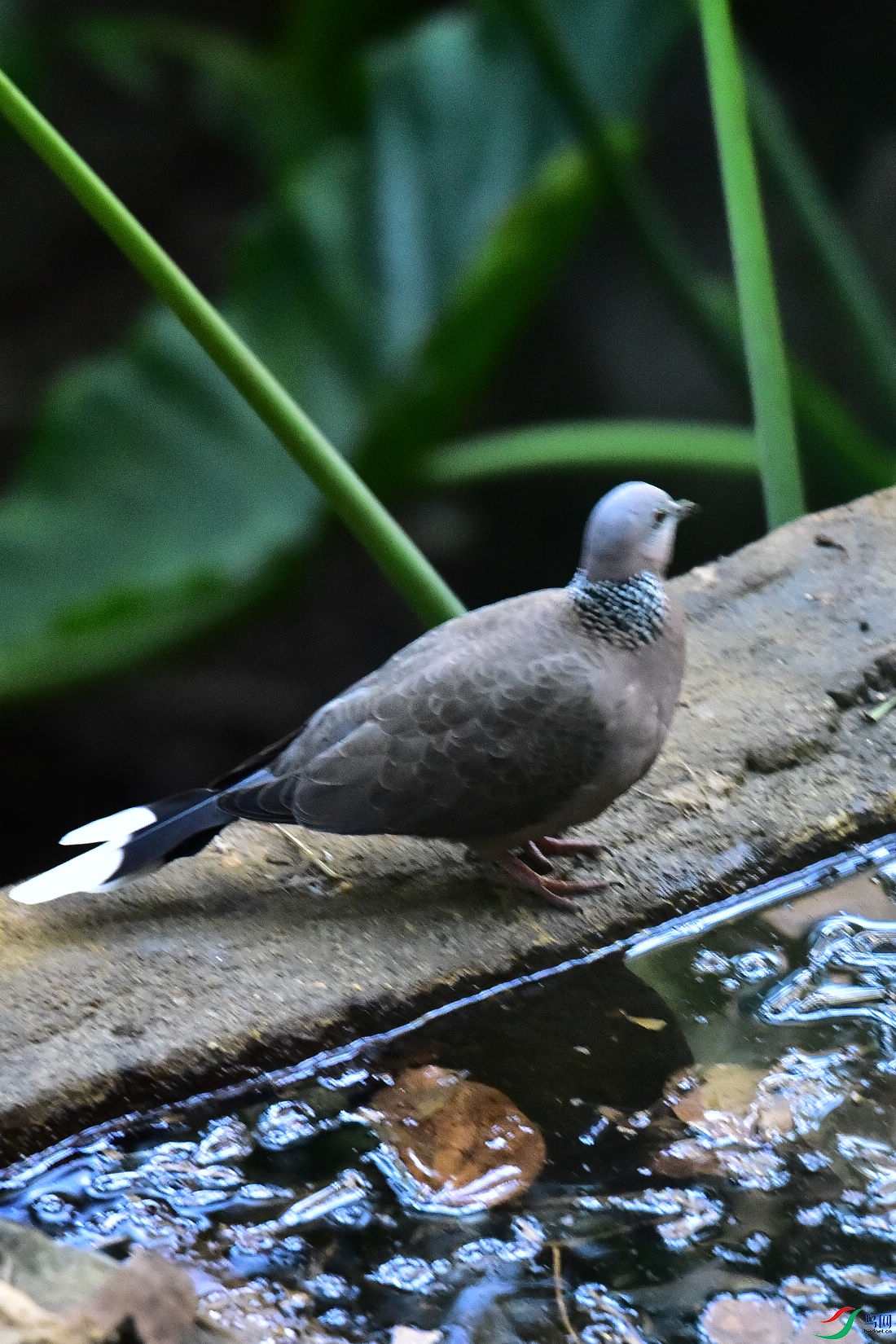 DSC_8889.JPG
