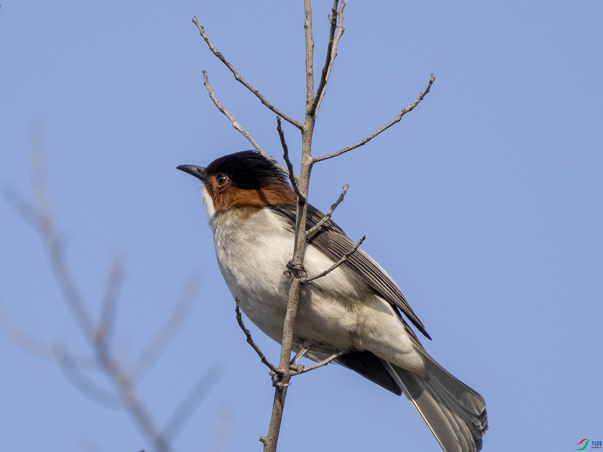 DSC00691_ACR 300k.jpg