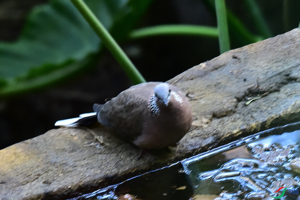 DSC_8880.JPG