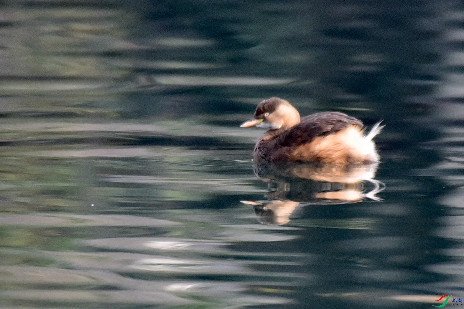 DSC_9259.JPG