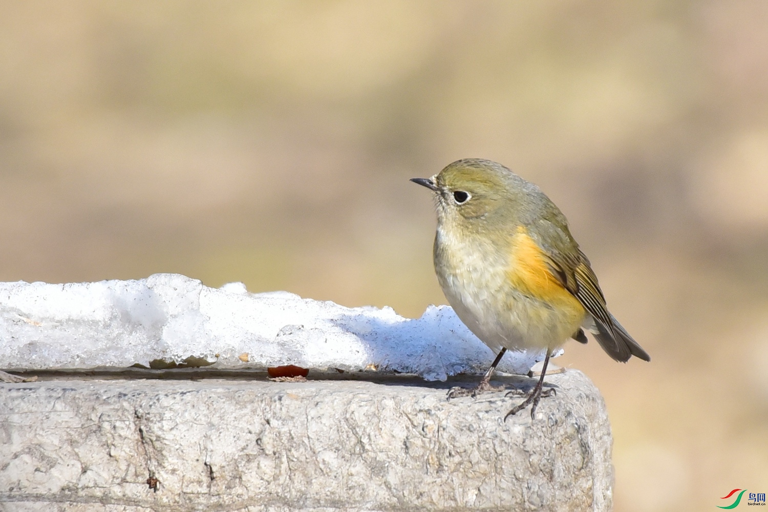 DSC_3288.JPG