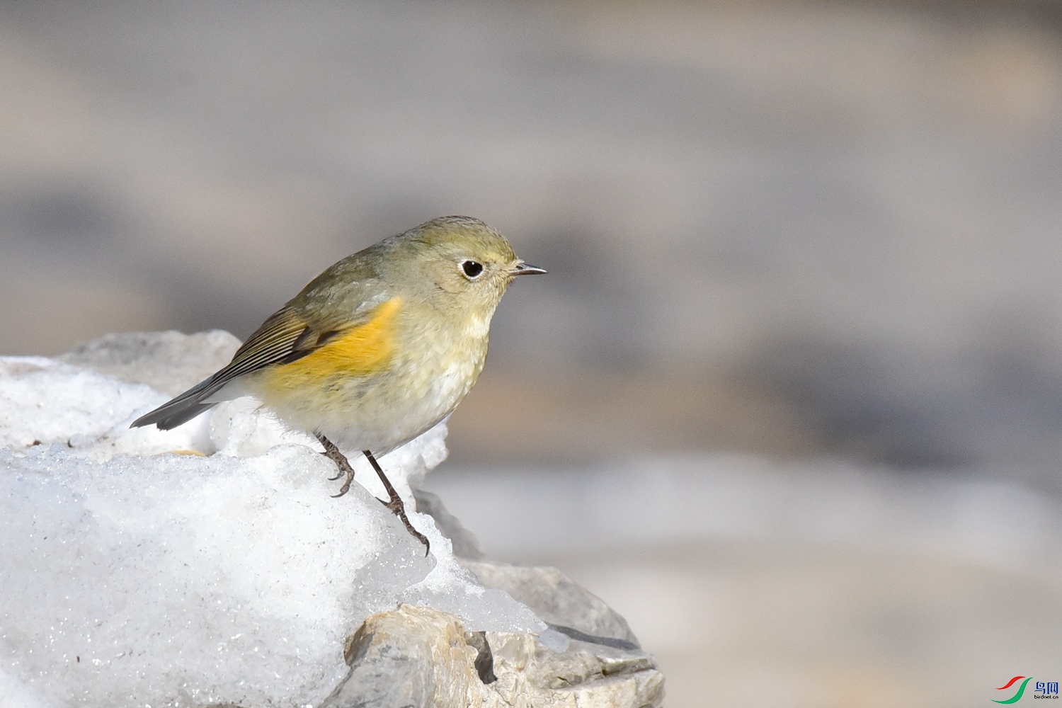 DSC_3267.JPG