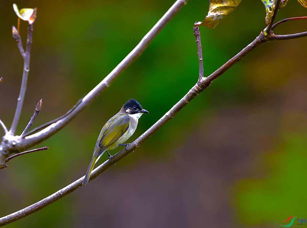 DSC_2144.JPG
