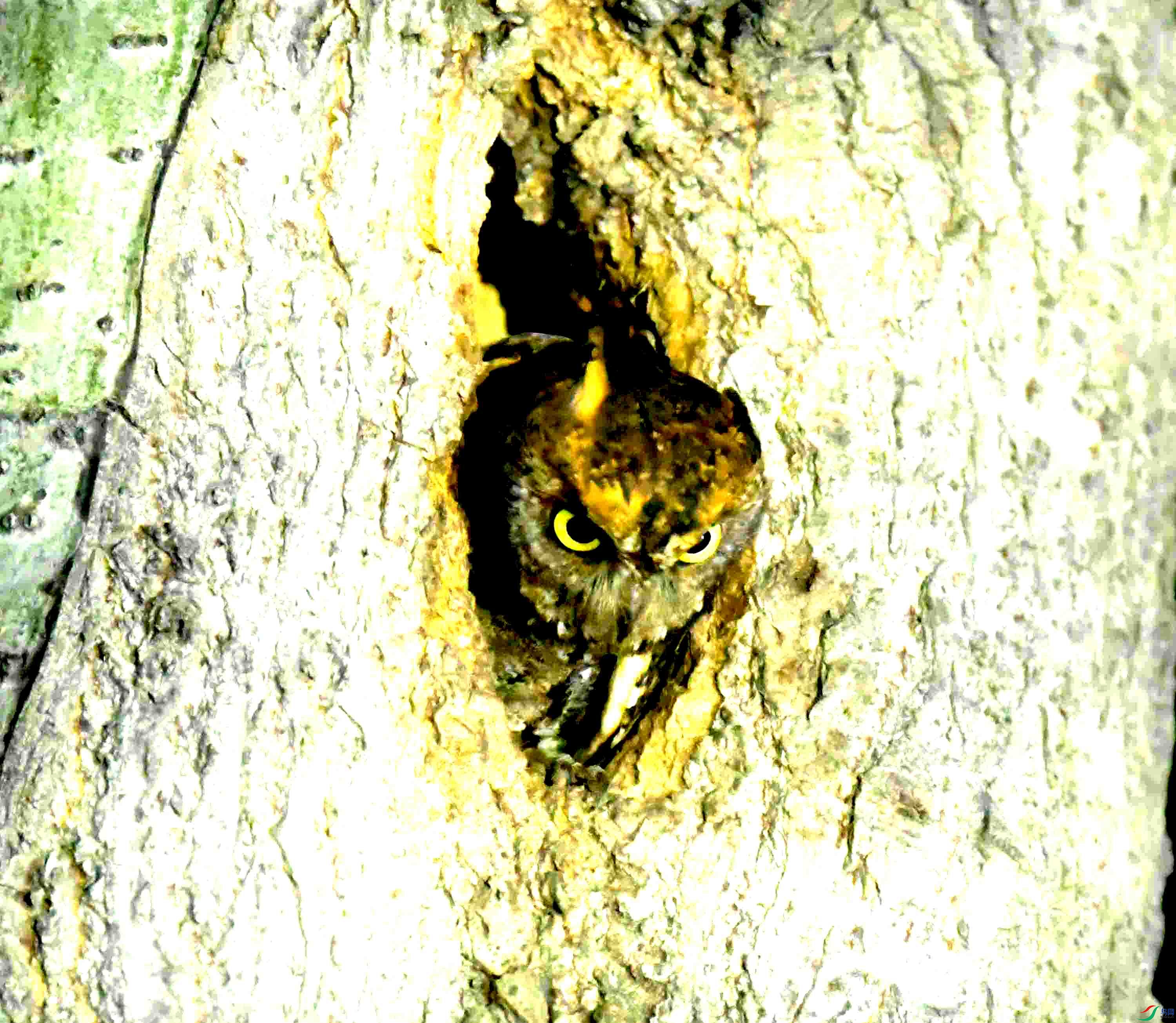 DSC_0789.JPG