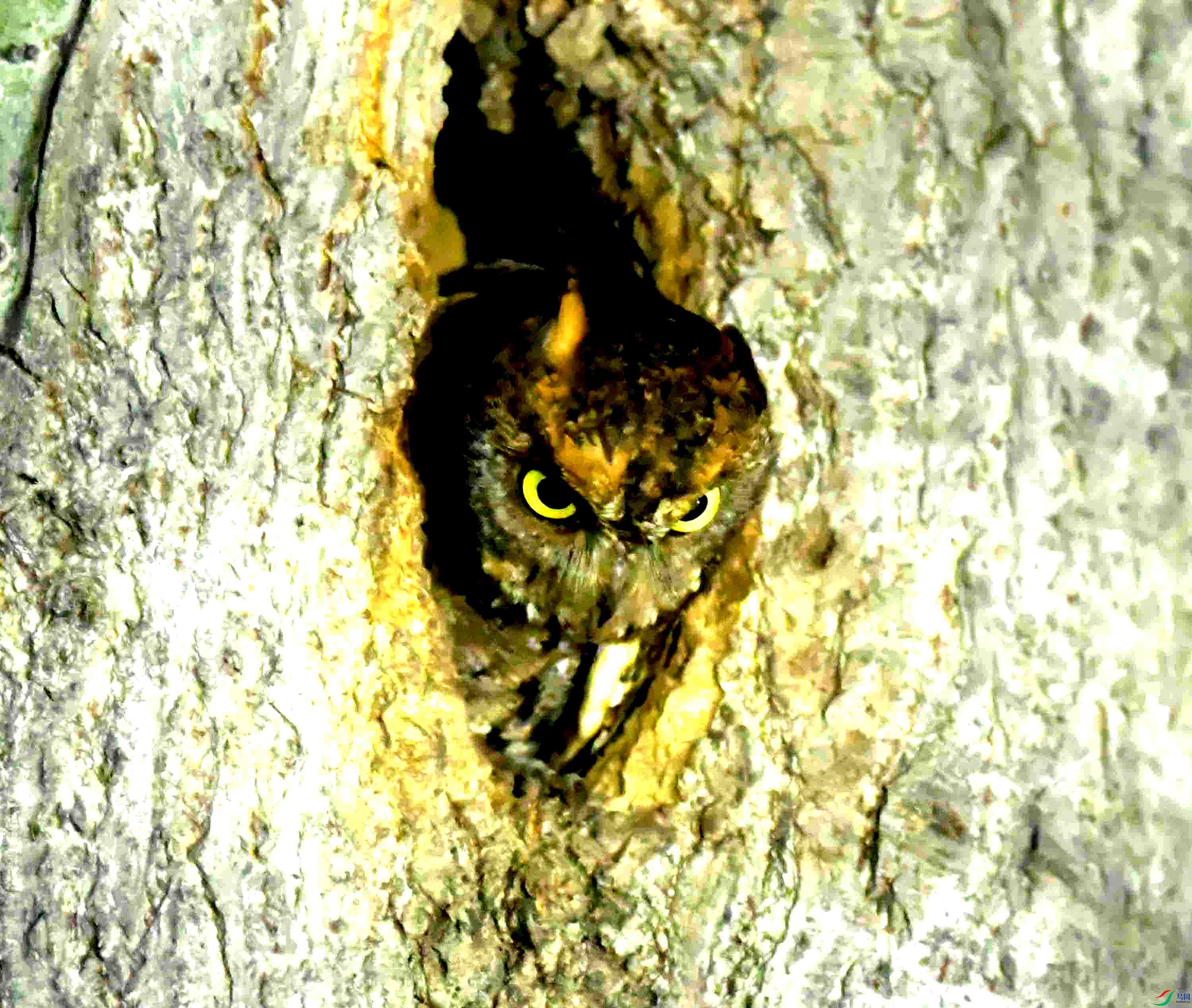 DSC_0804.JPG