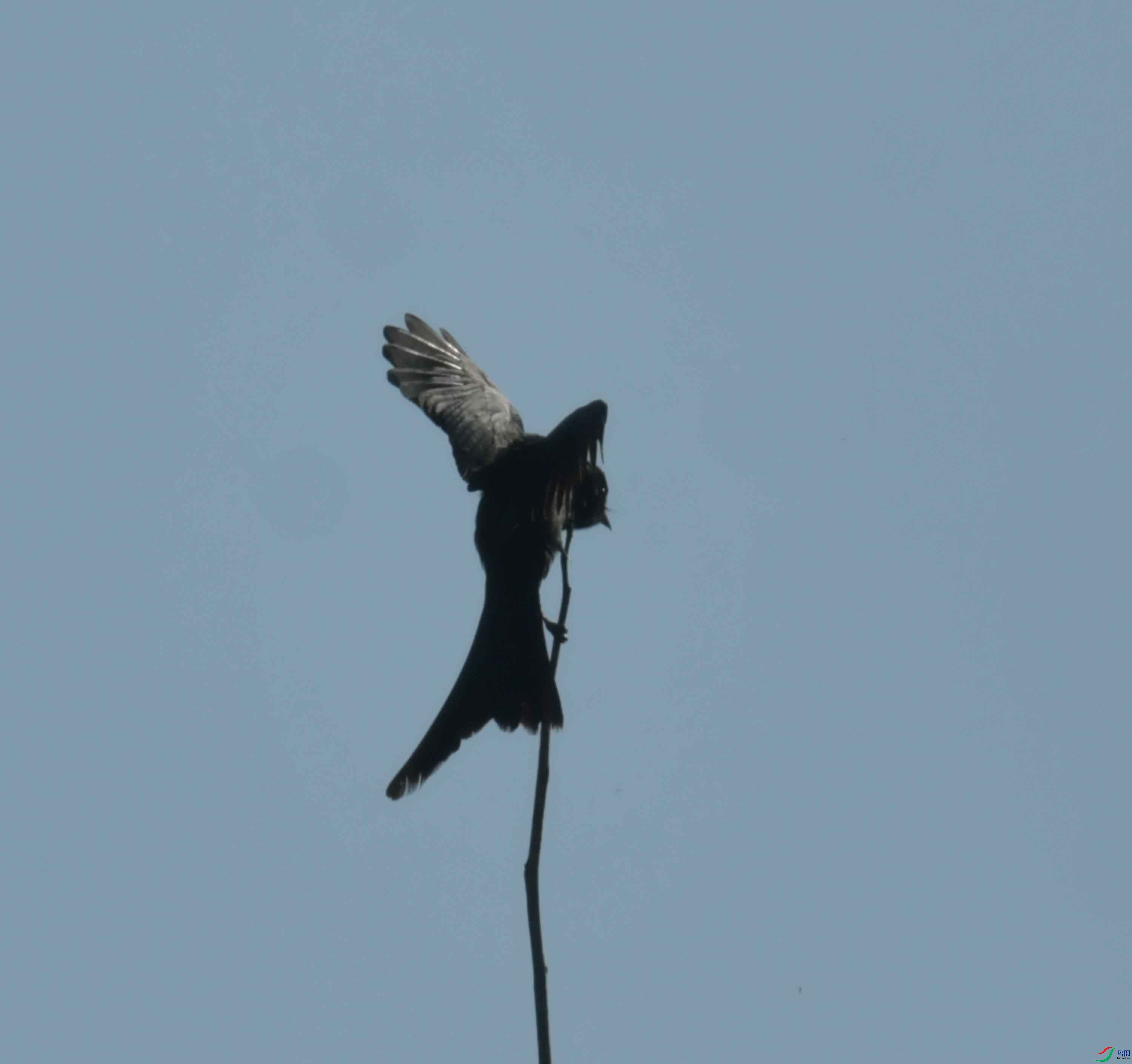 DSC_1945.JPG