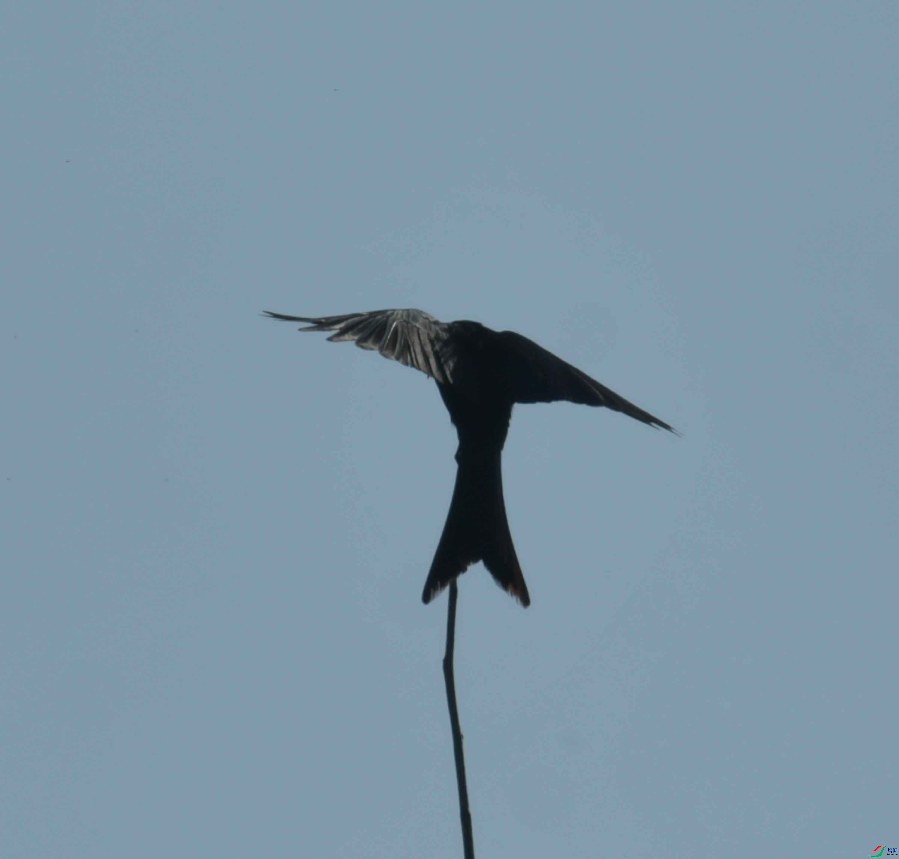 DSC_1948.JPG