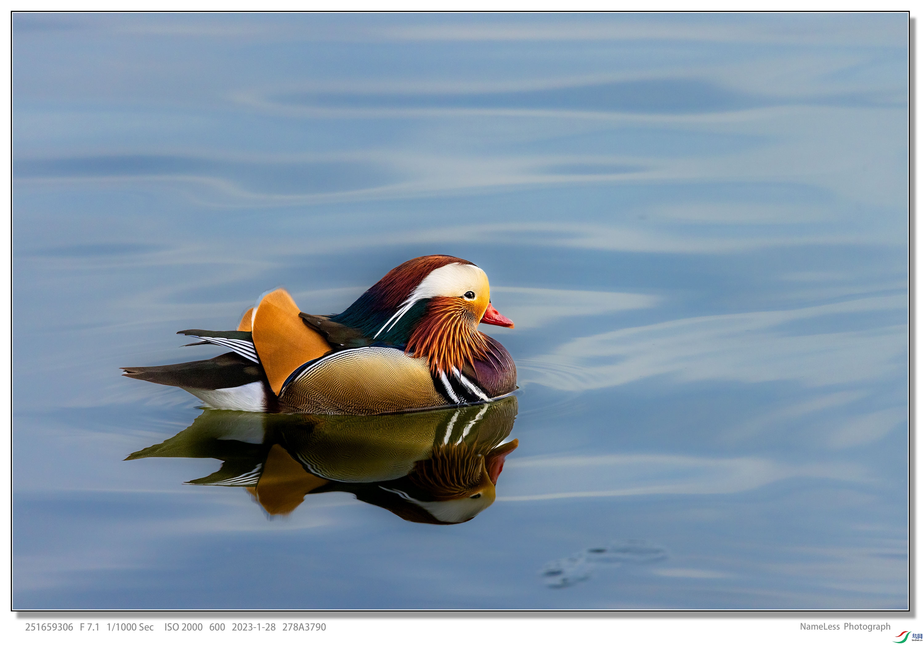 278A3790.jpg