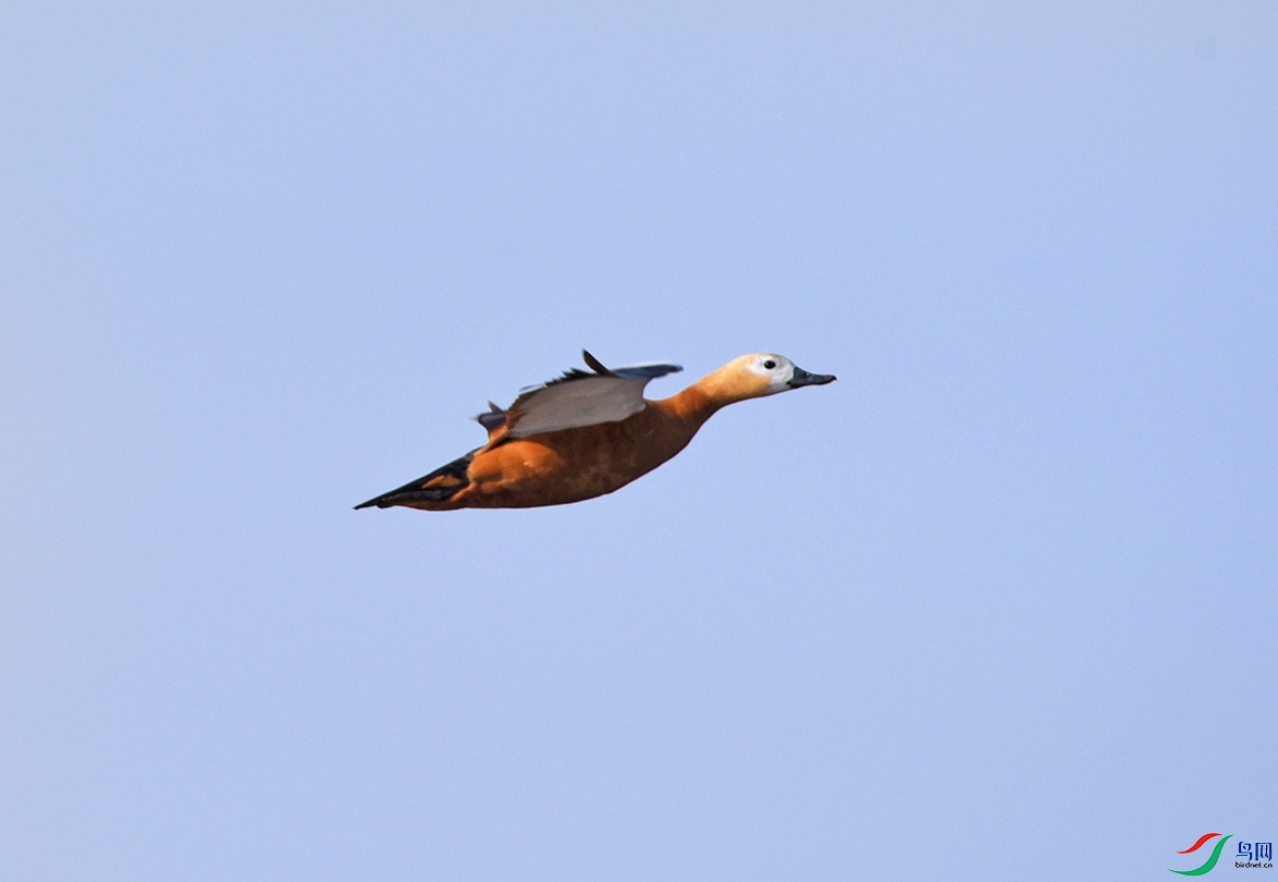 DSC_5255.jpg