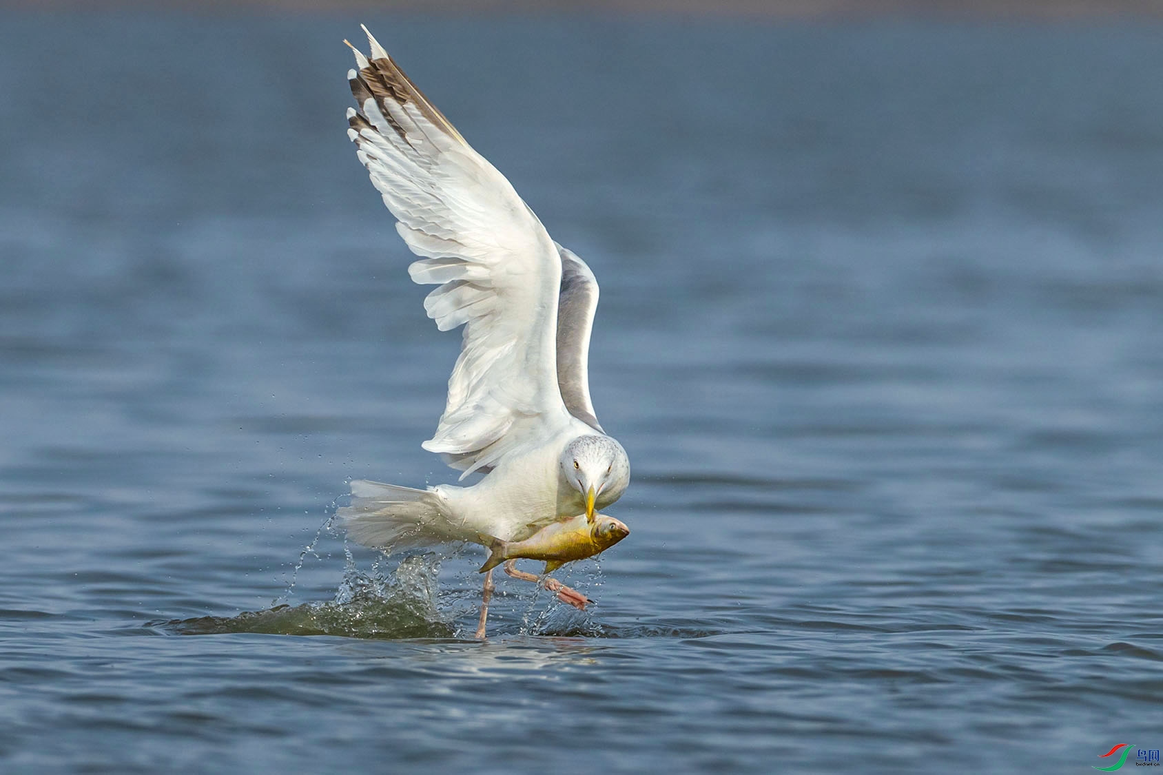 _P2I3285 ���� 3.jpg