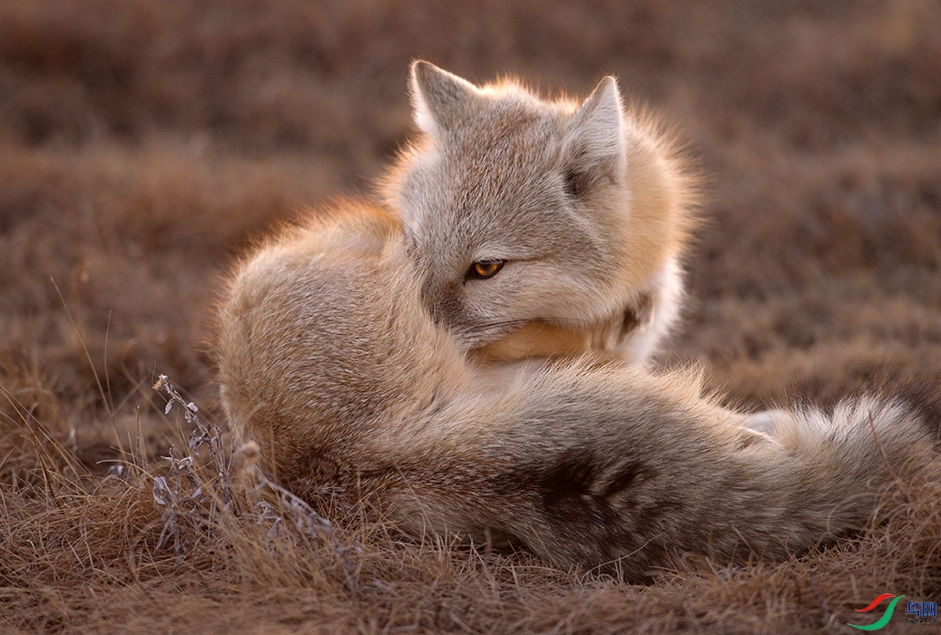 DSC_9474.jpg