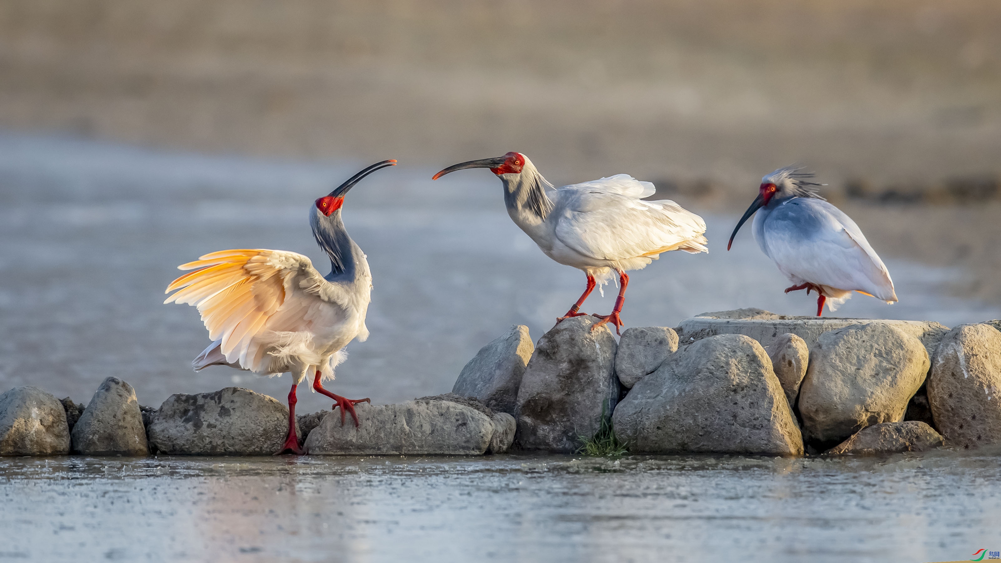 _R9W1800 ����.jpg