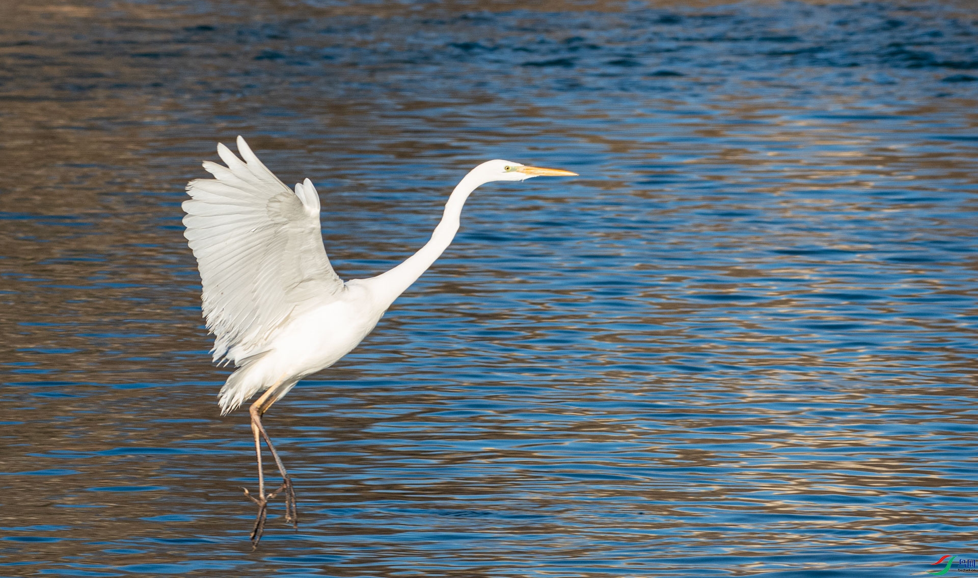 DSC_3877.jpg