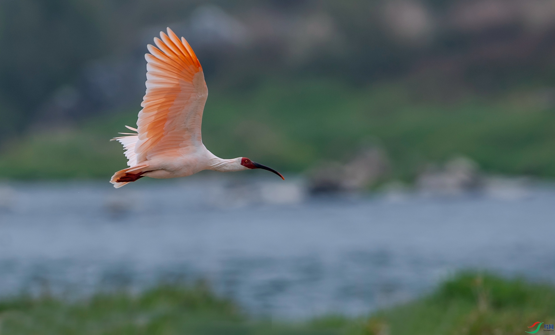 DSC_5386.jpg