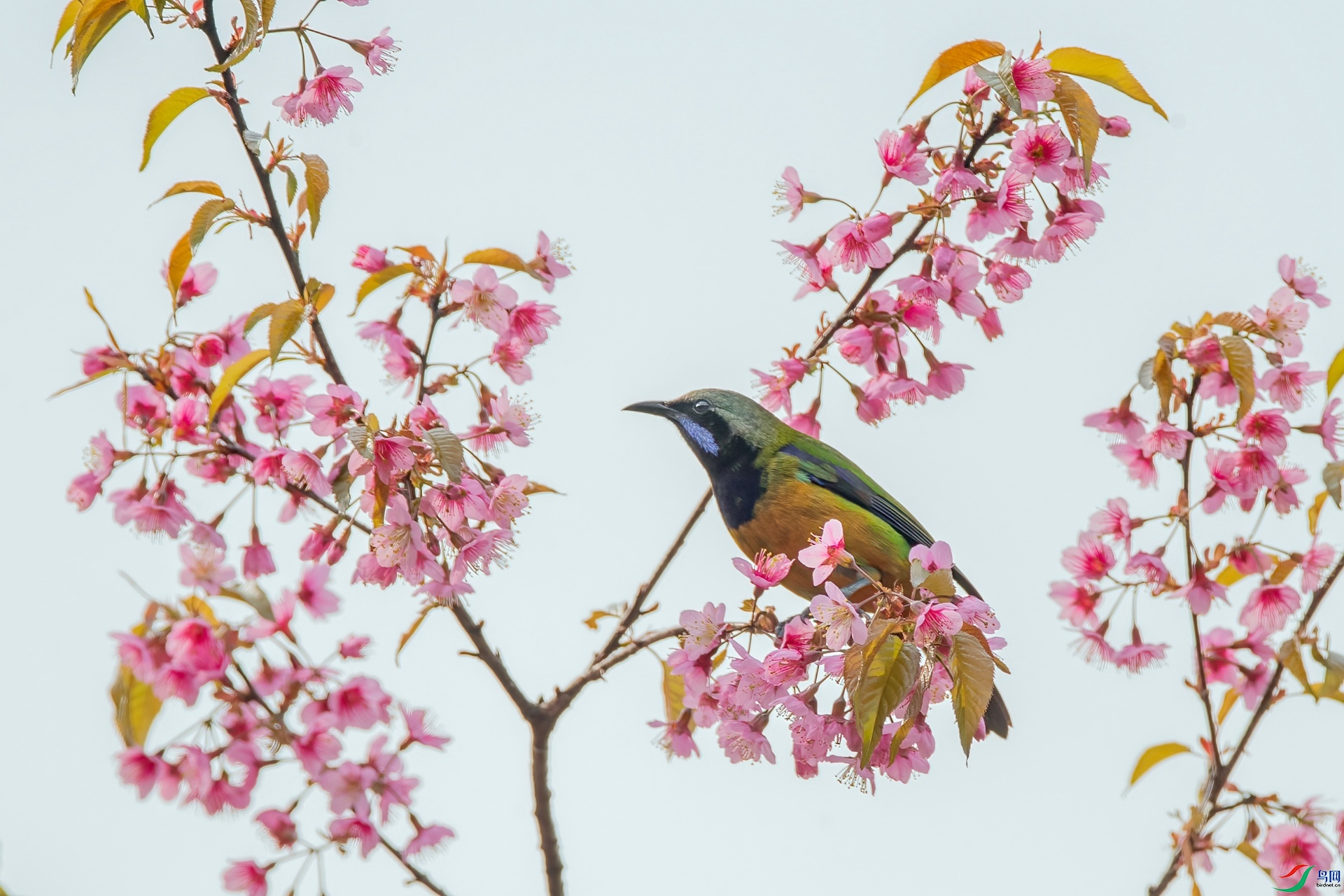 B86I2799 _����.jpg