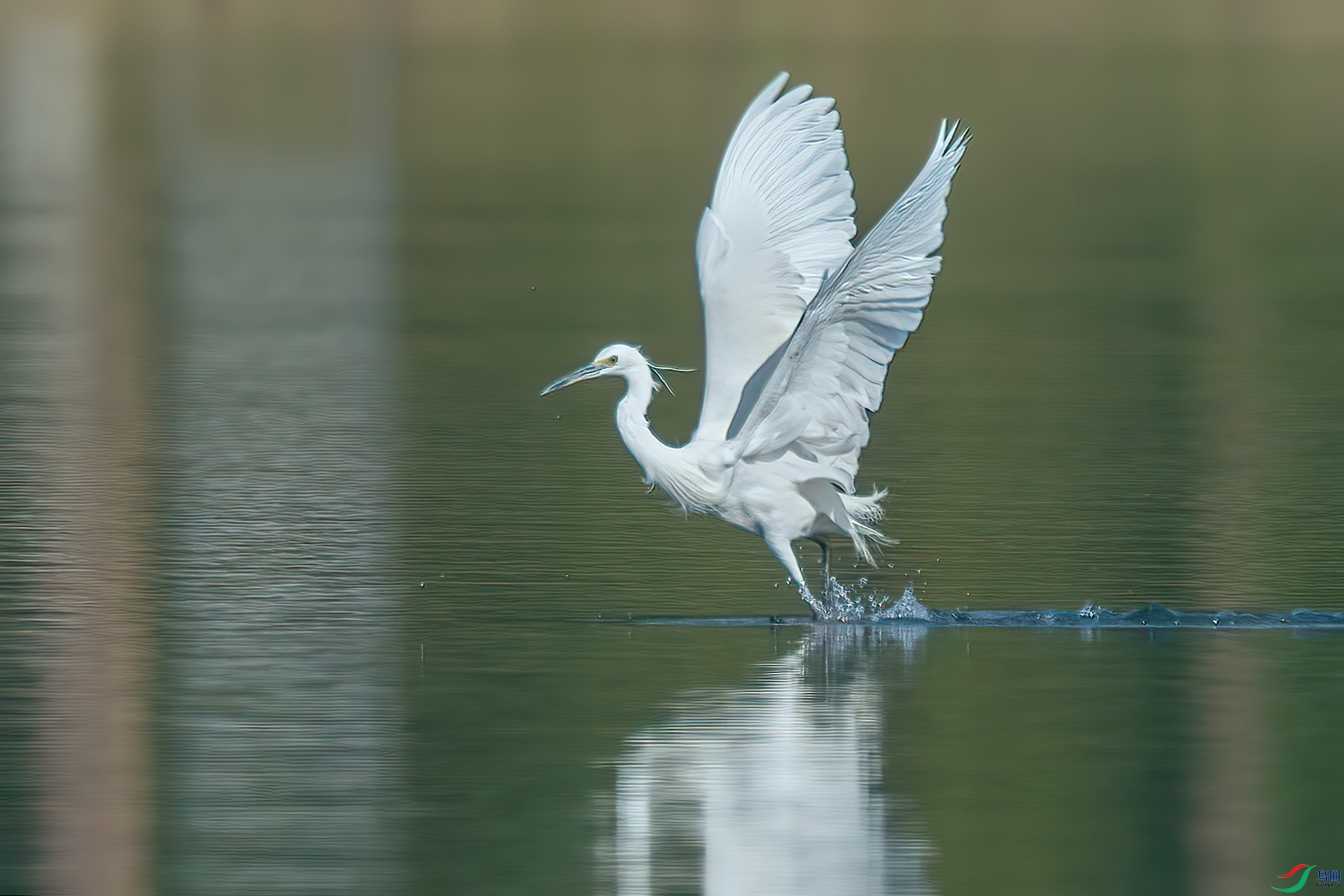 B86I2356 _����.jpg