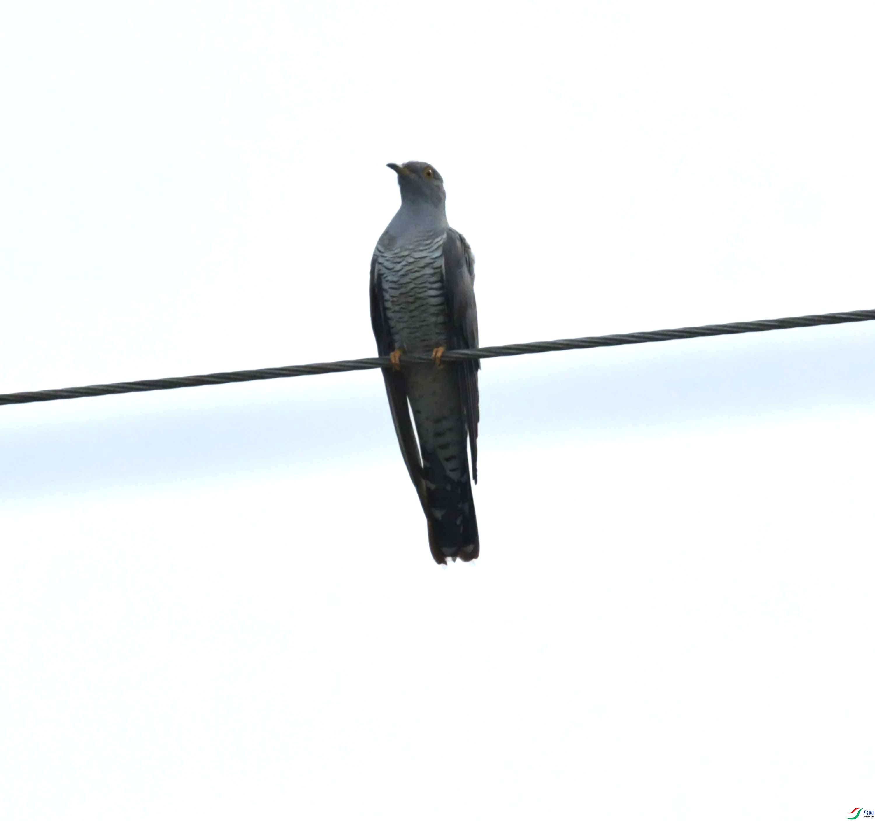 DSC_6492.JPG