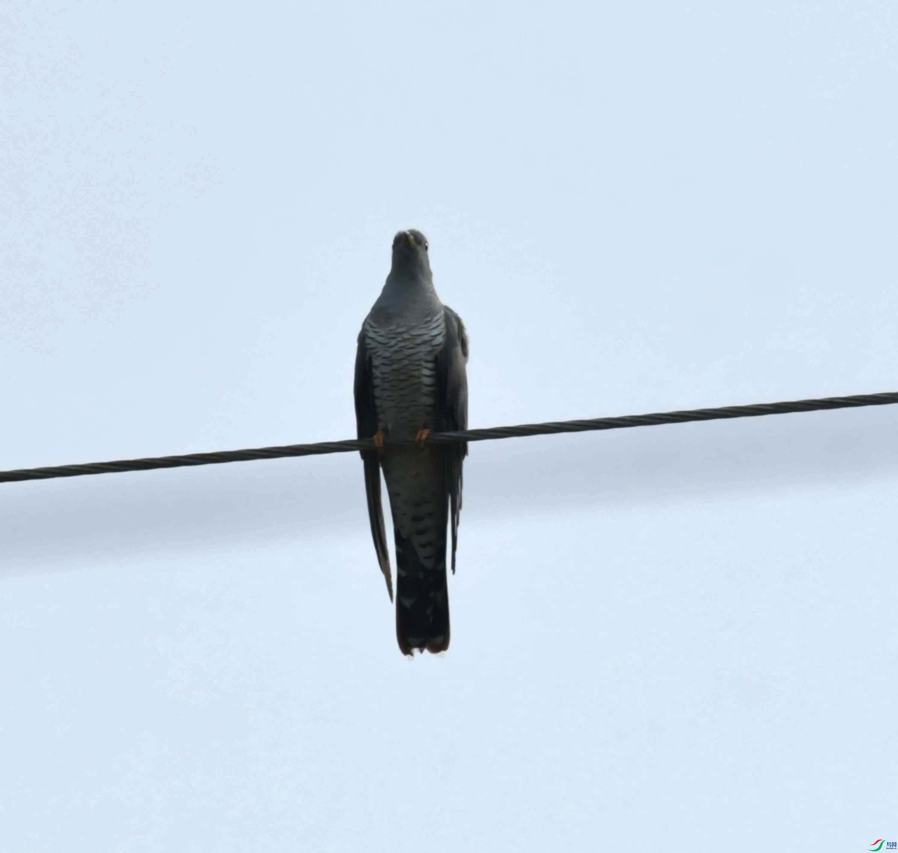 DSC_6512.JPG