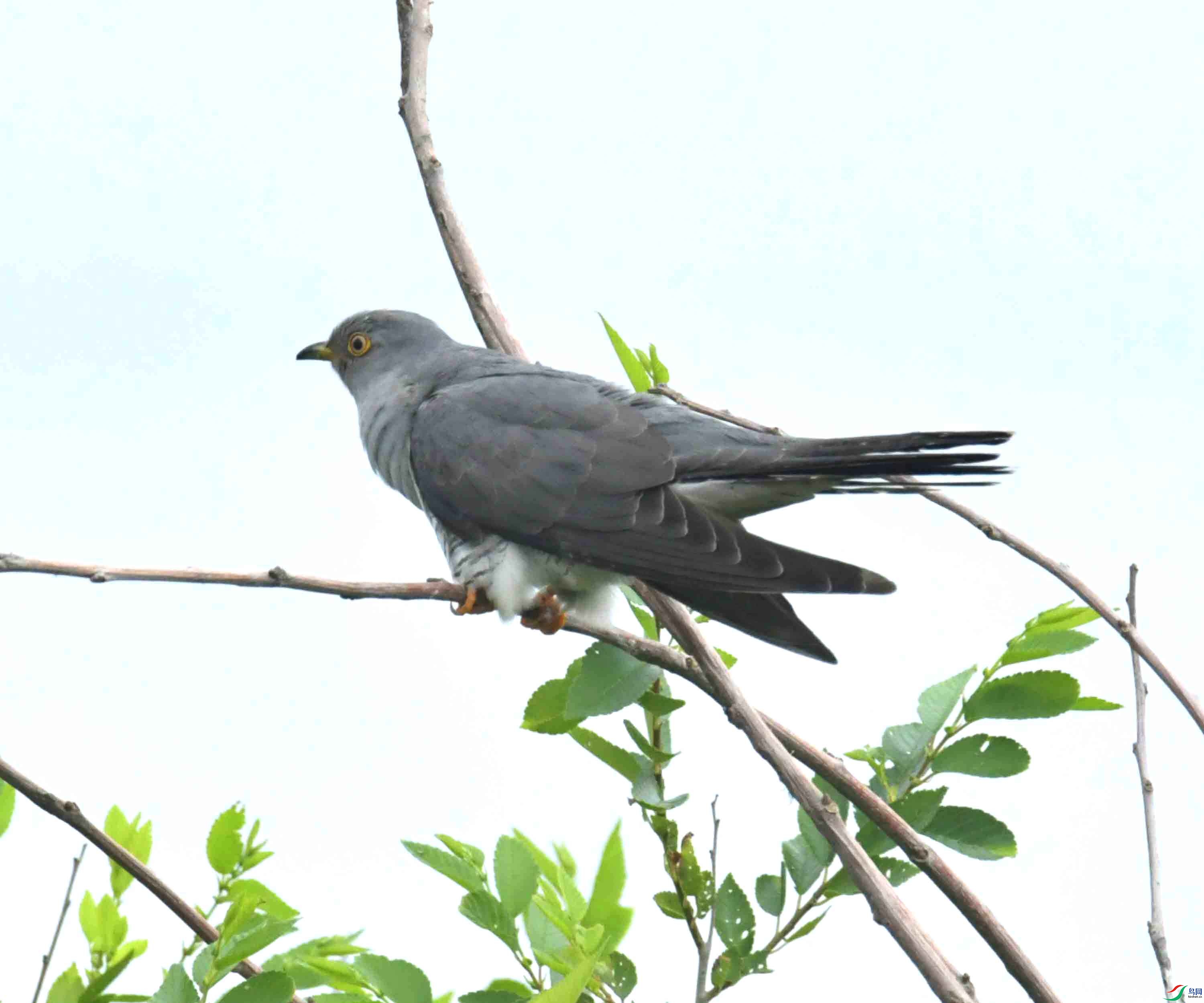 DSC_9415.JPG