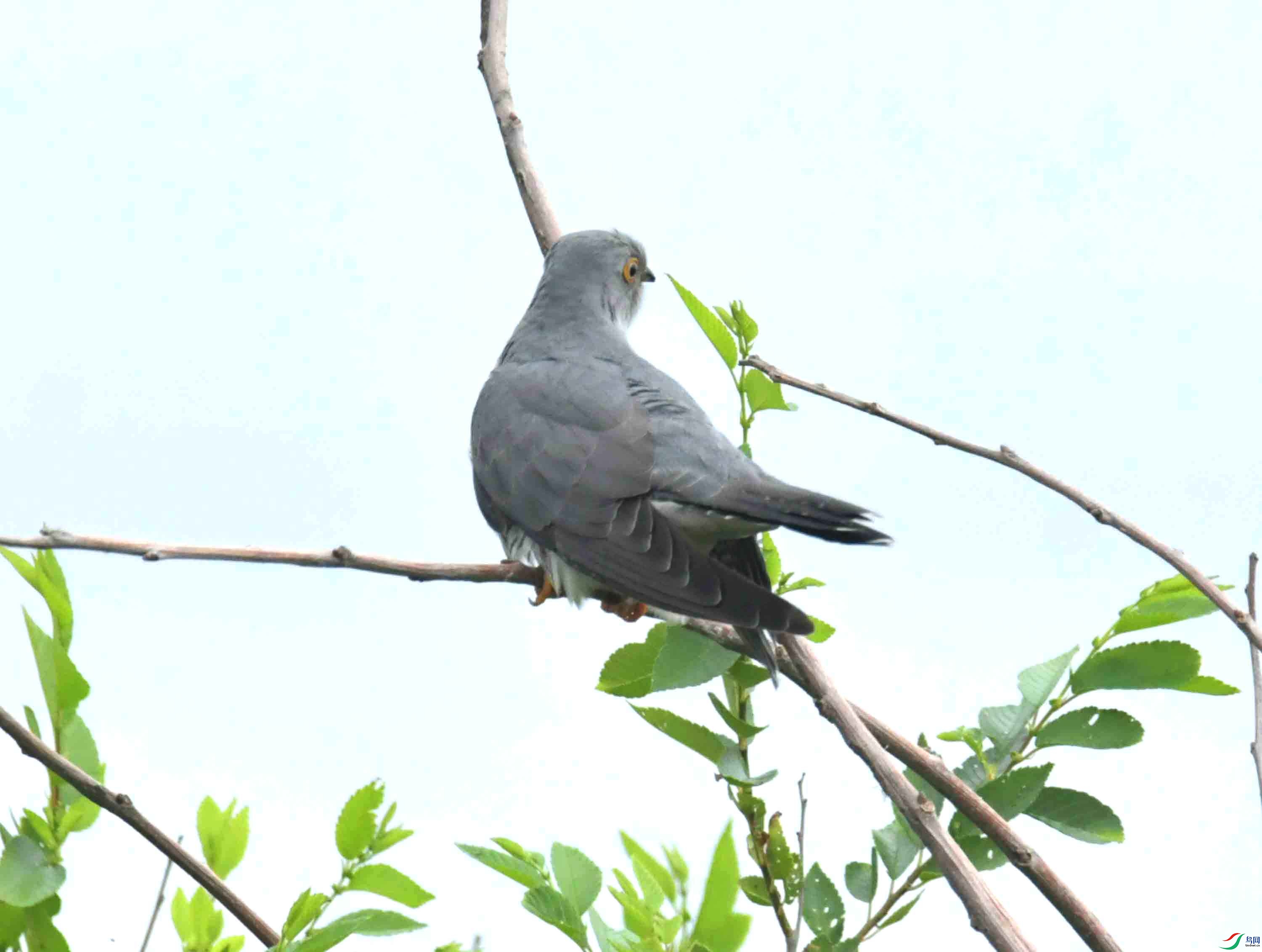 DSC_9417.JPG