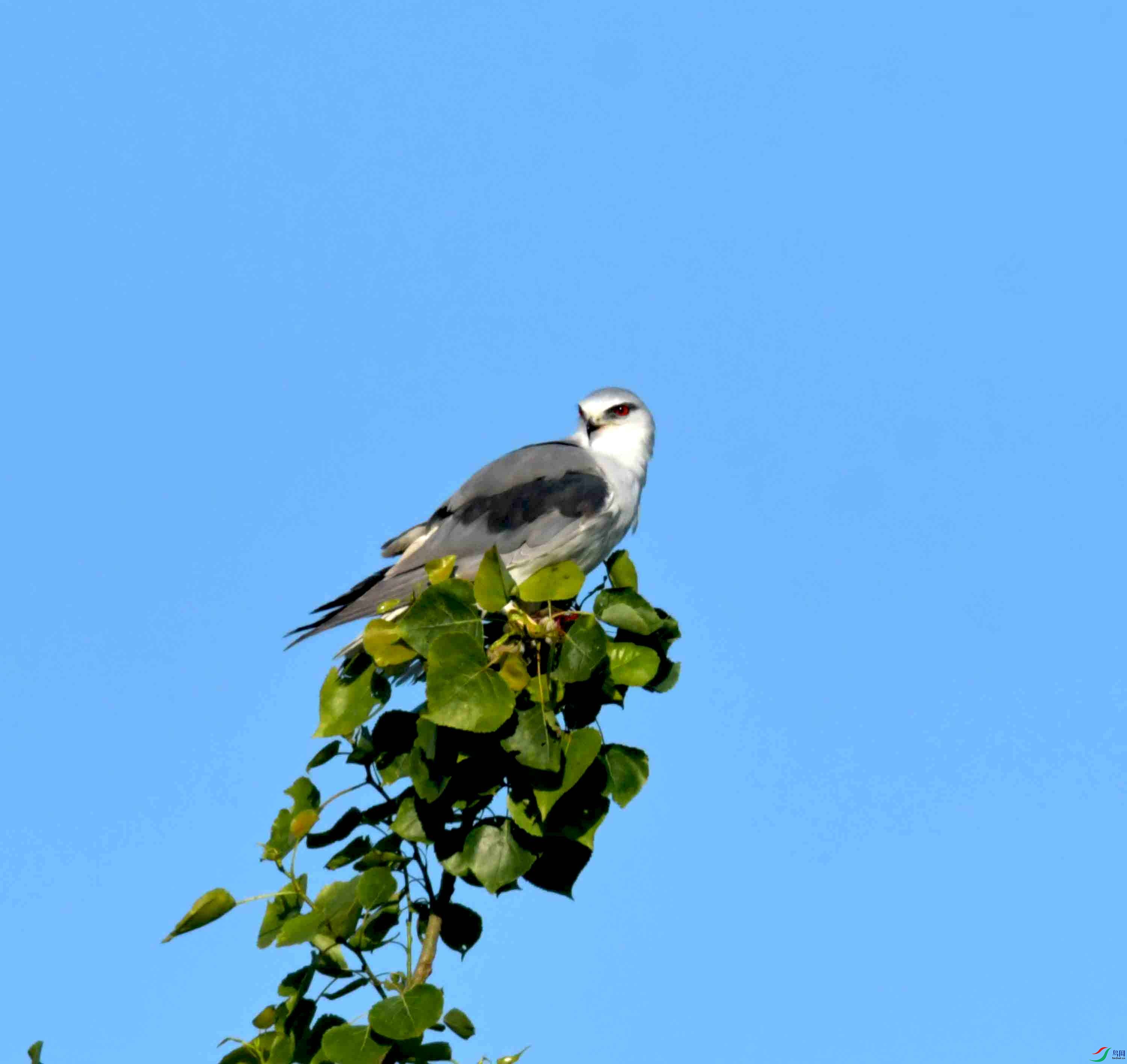 DSC_0702.JPG