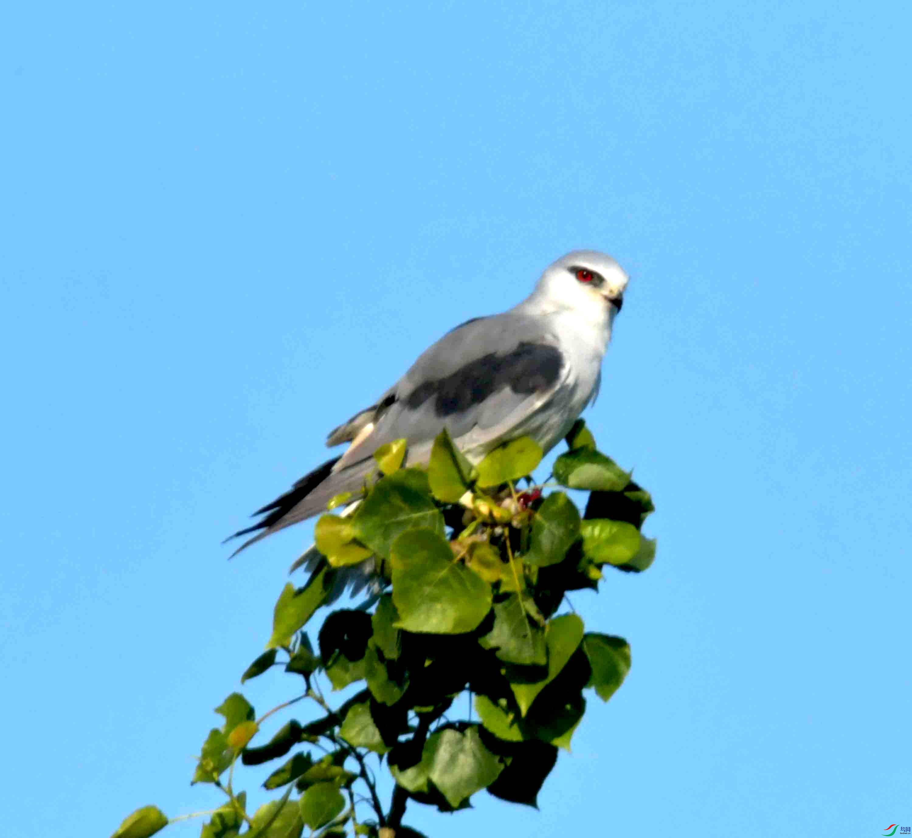 DSC_0703.JPG