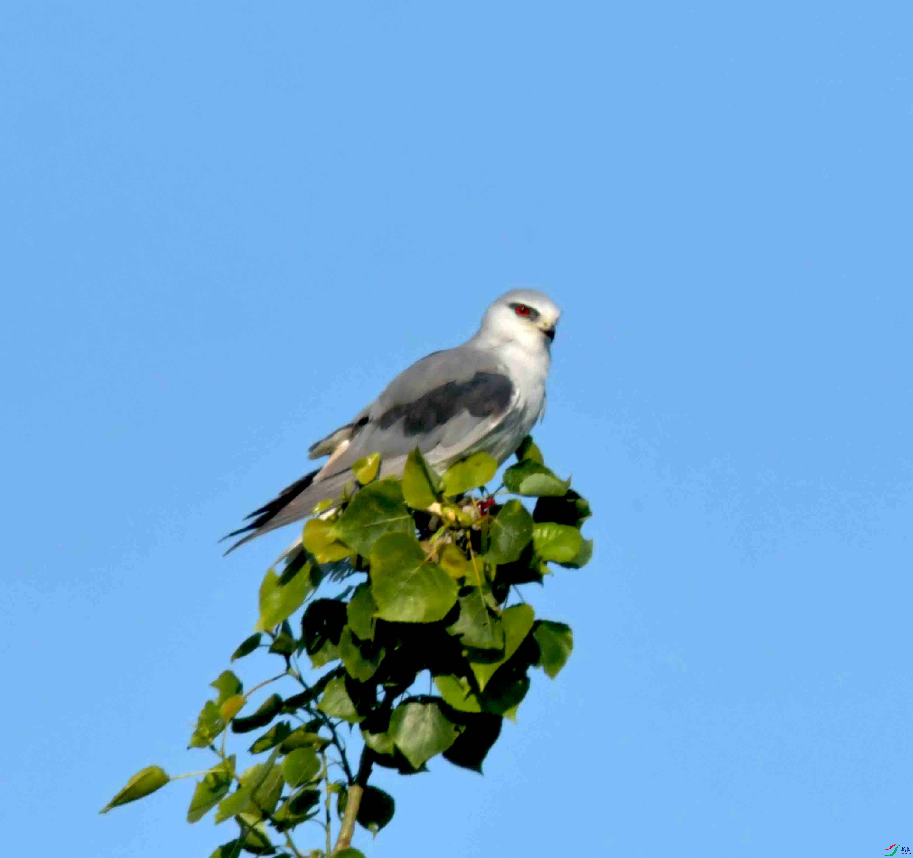 DSC_0705.JPG