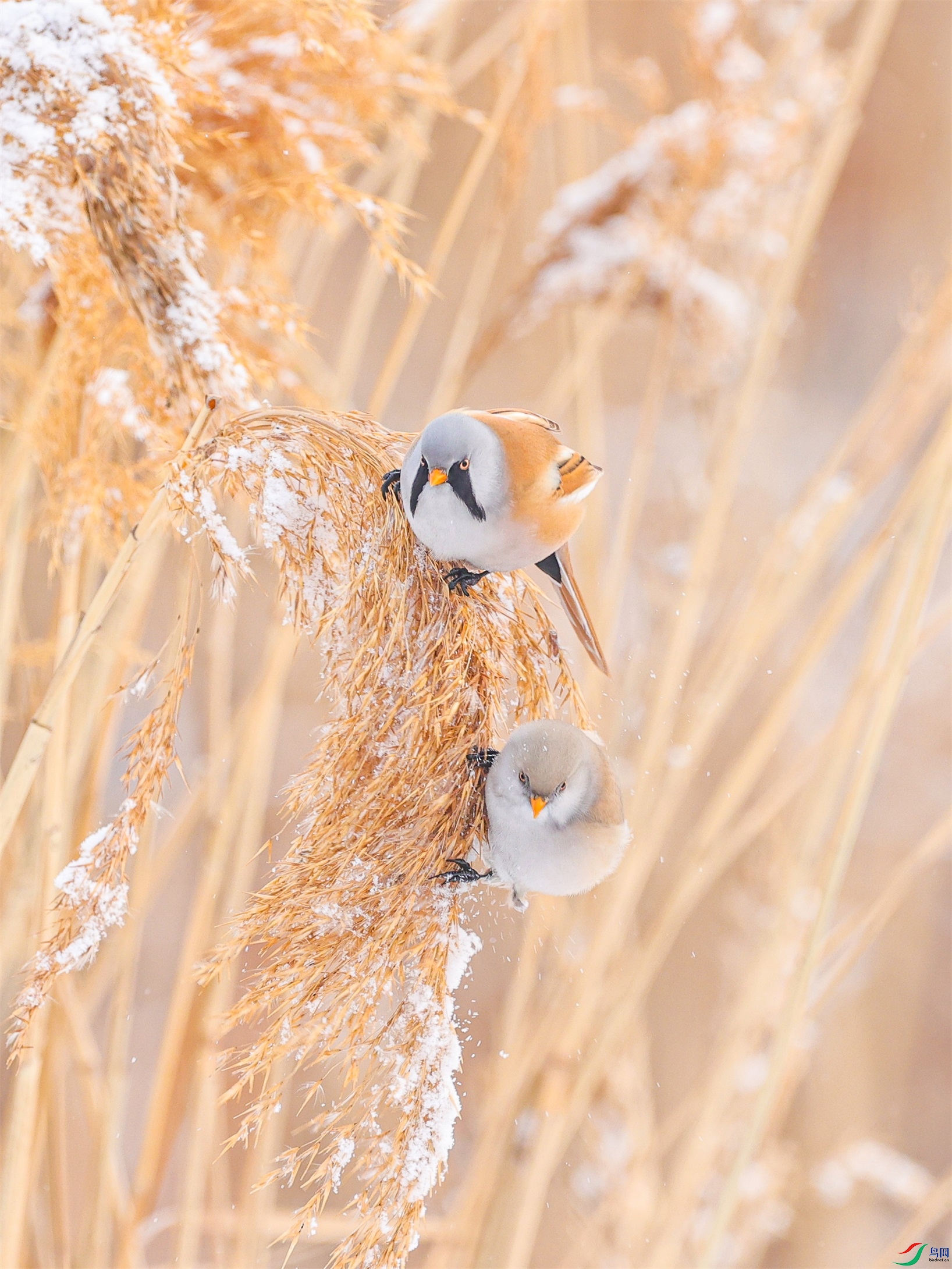 1K3A5876 ����1.jpg