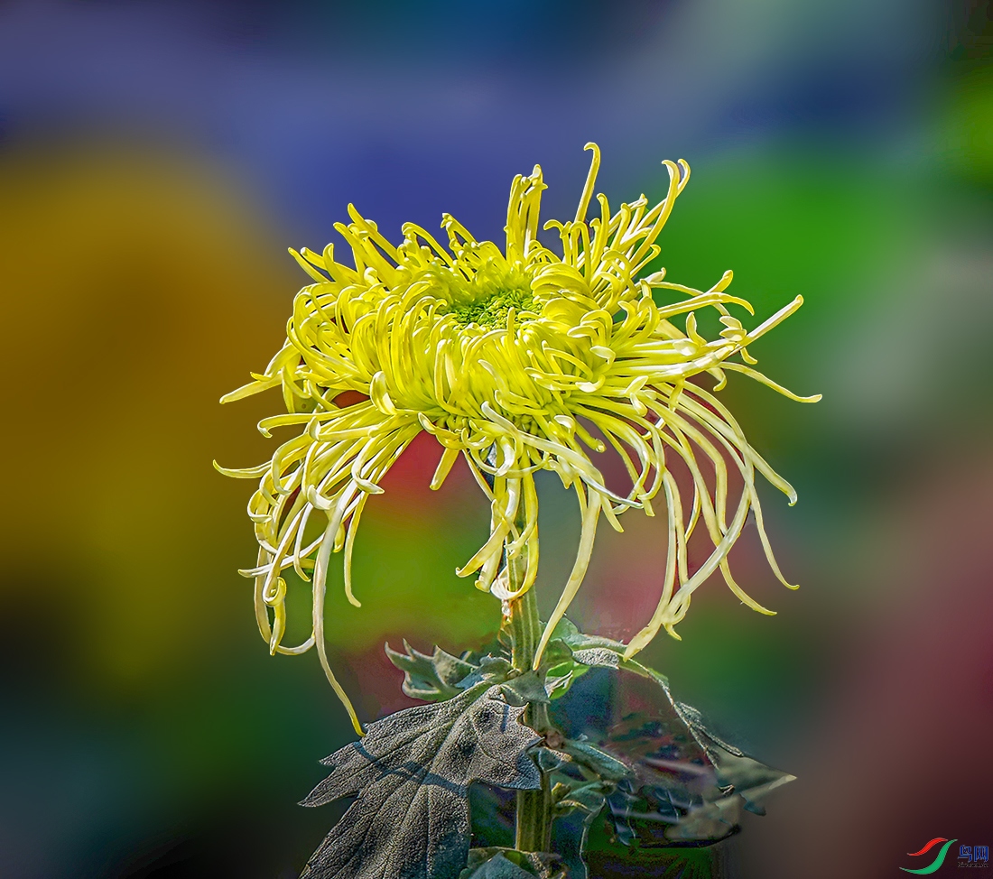 00000IMG_5787 ��������800k.jpg