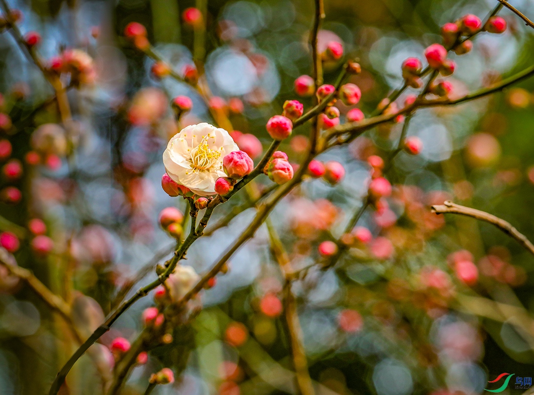 00000583A0826 һ������800k.jpg