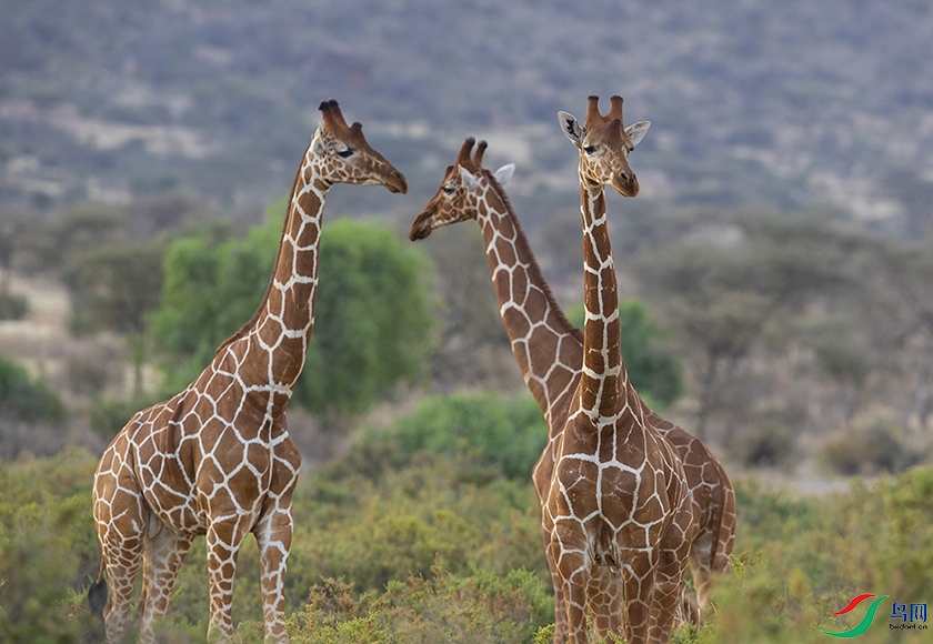 ����¹ (3).jpg