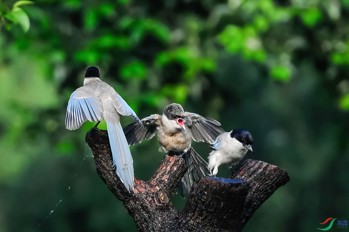 DSC_0009_DxOa.jpg