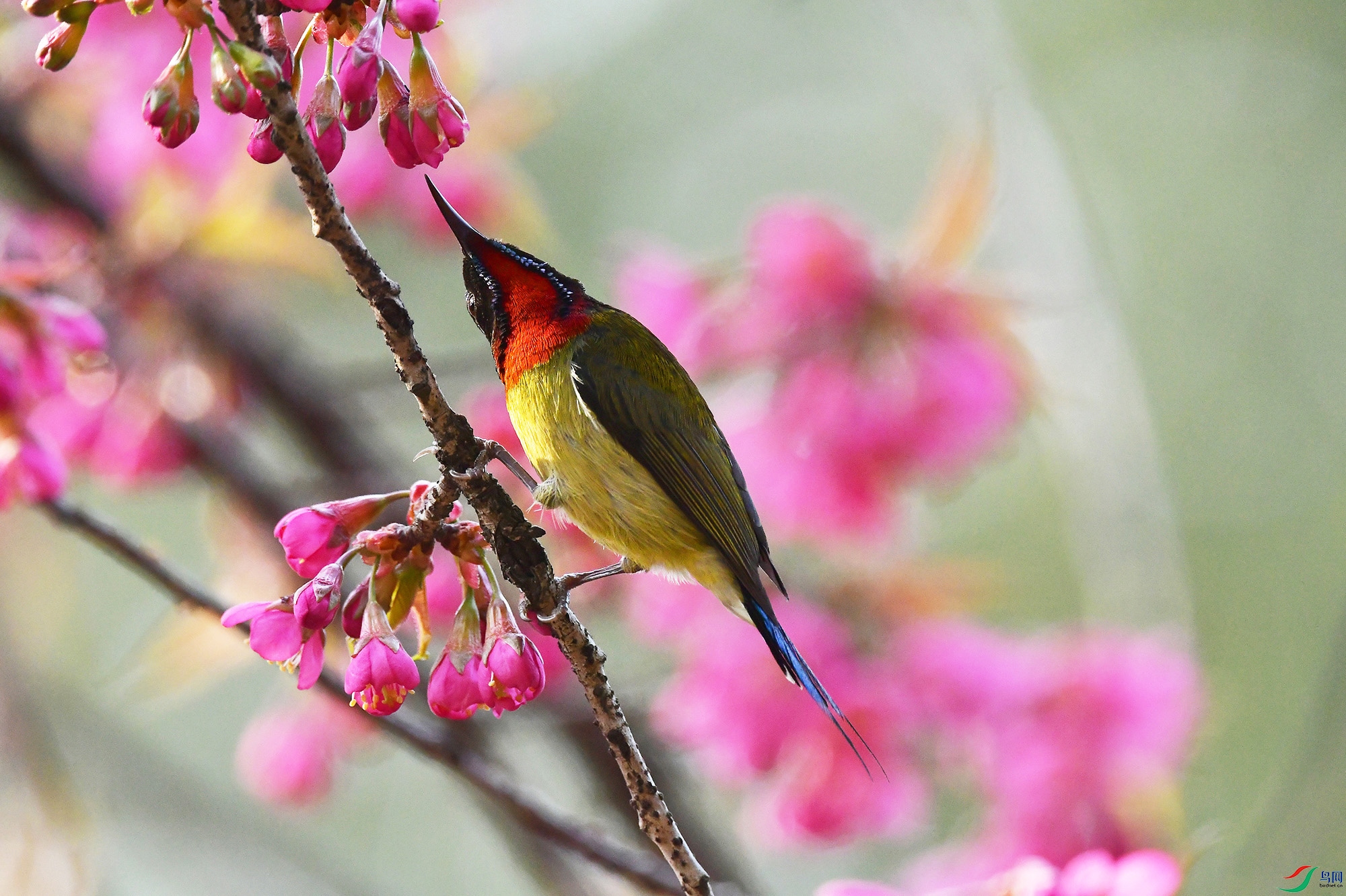 DSC_3308 - ����.JPG