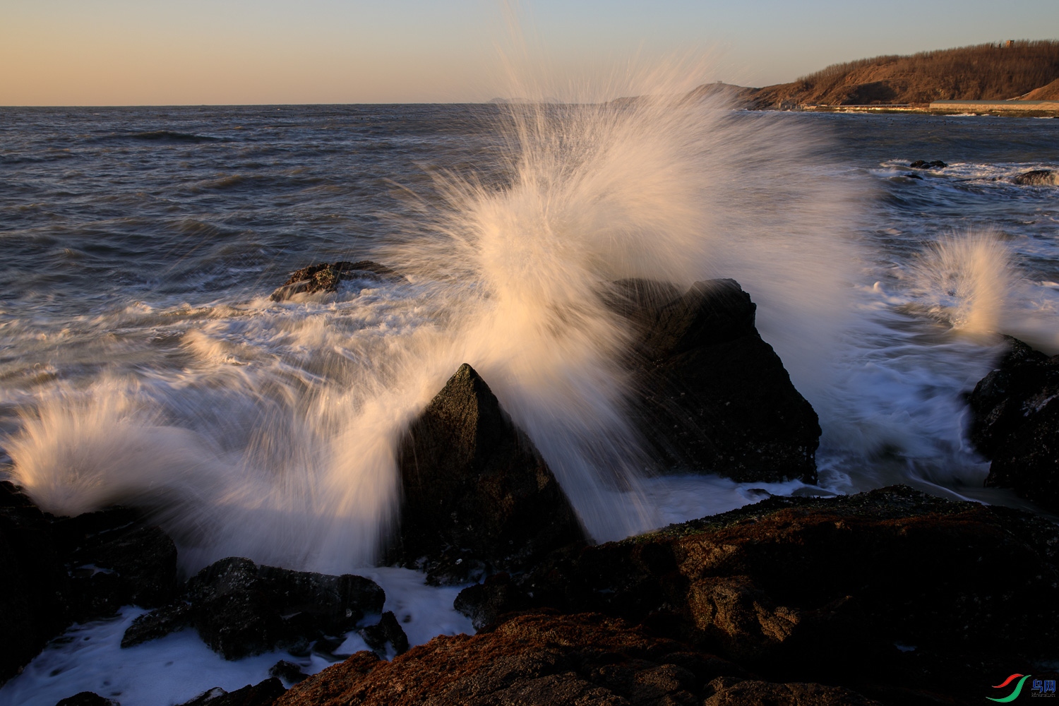 106A9488 ����.jpg