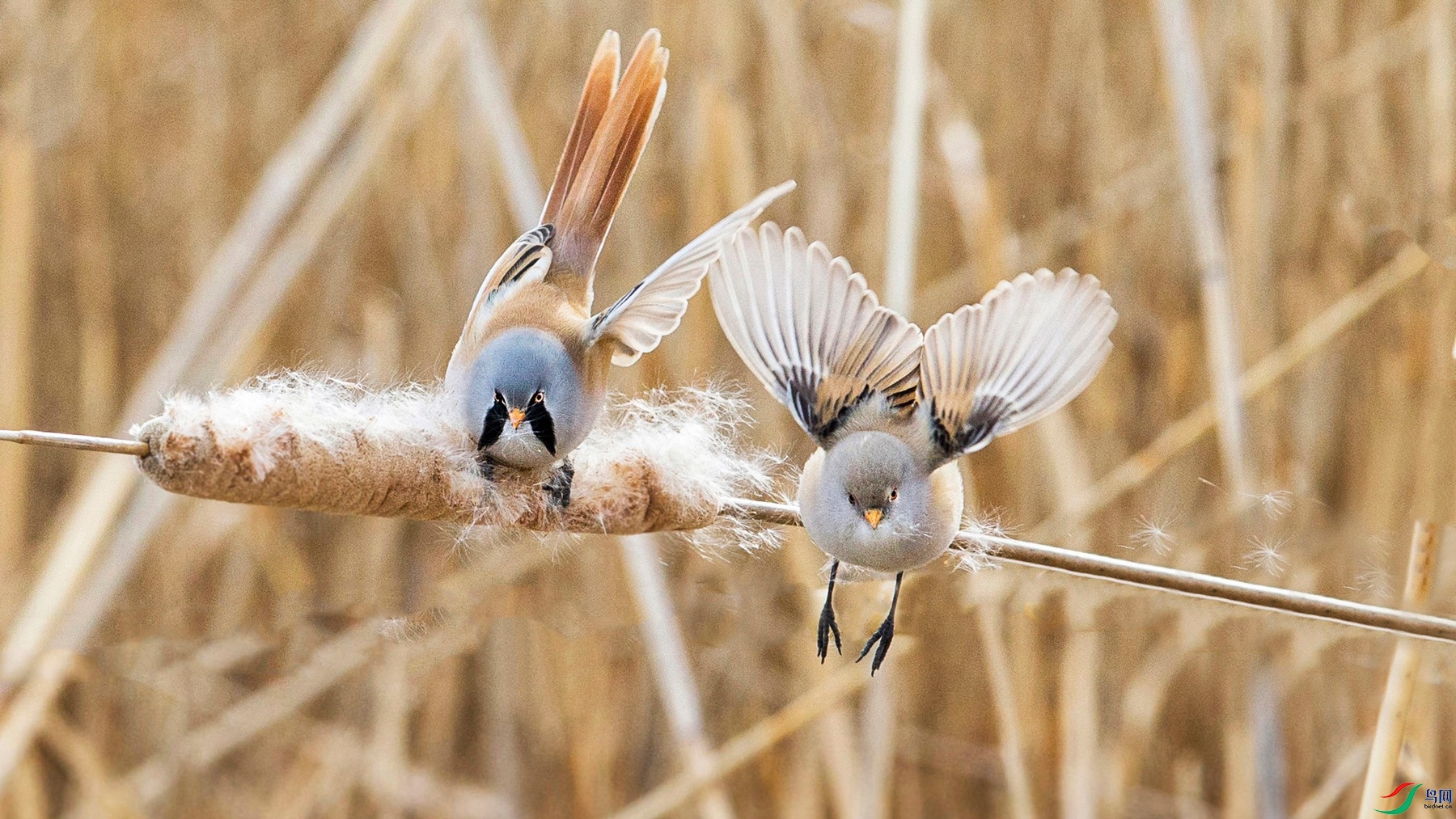 BW4Q1165 - ���� - ���� - ���� - ���� - ���� - ���� (2) - ����.jpg