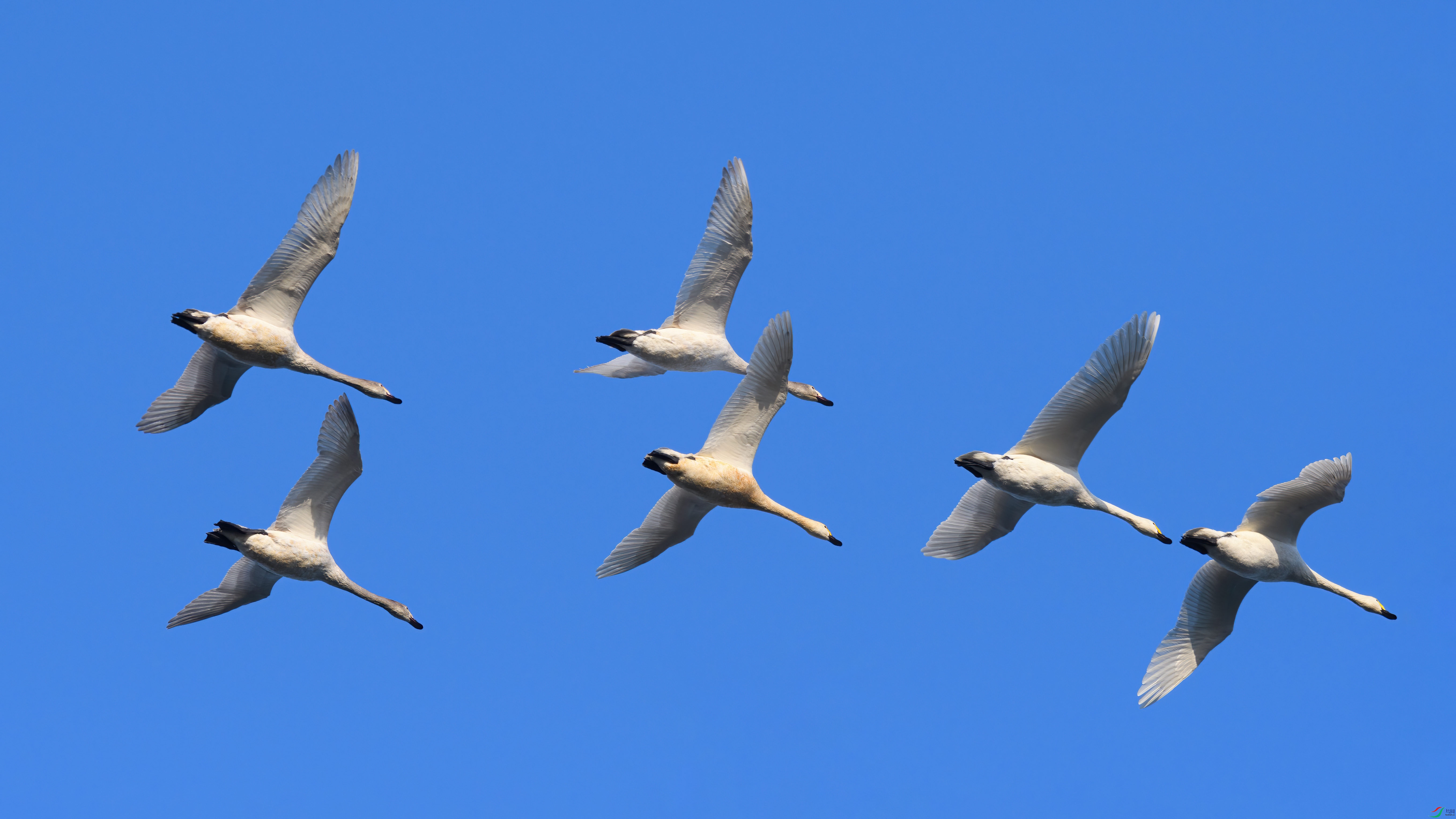 �ӹ�ͷ����С���