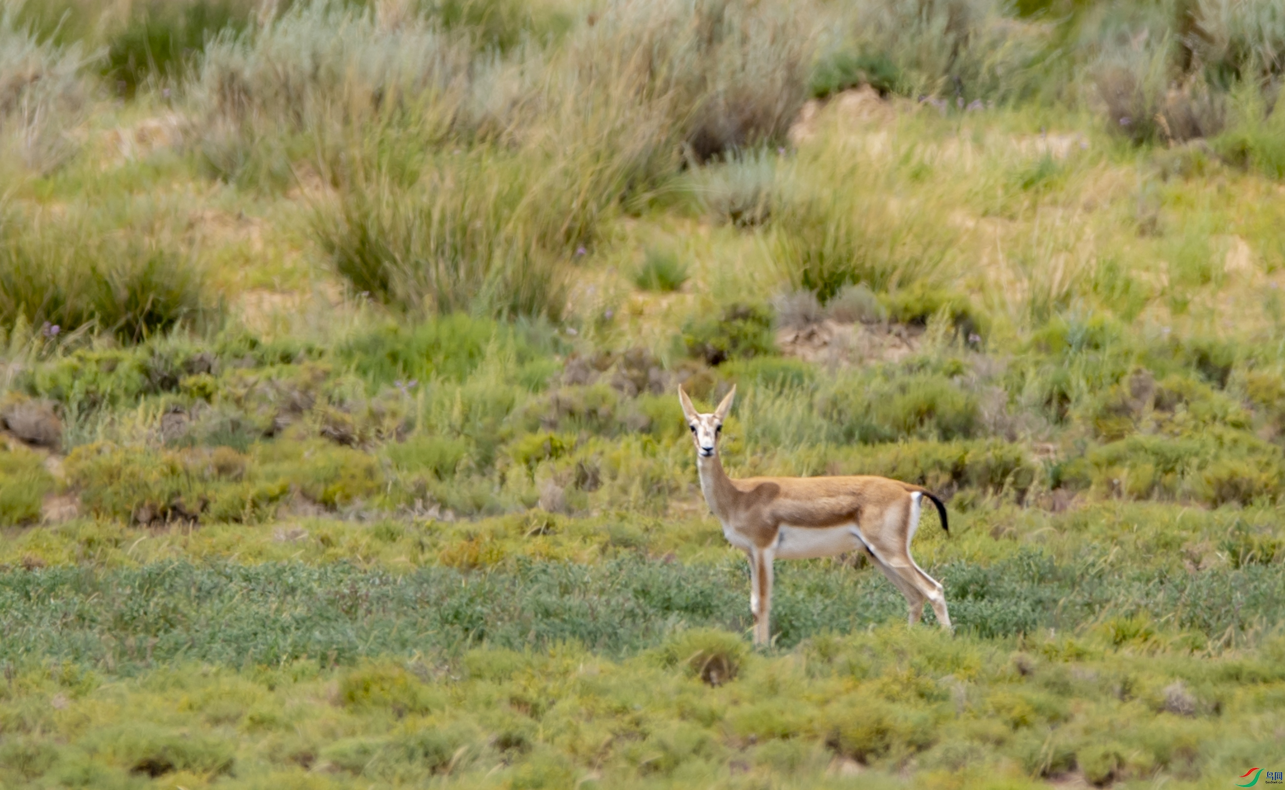 DSC_7600ʲô��.JPG