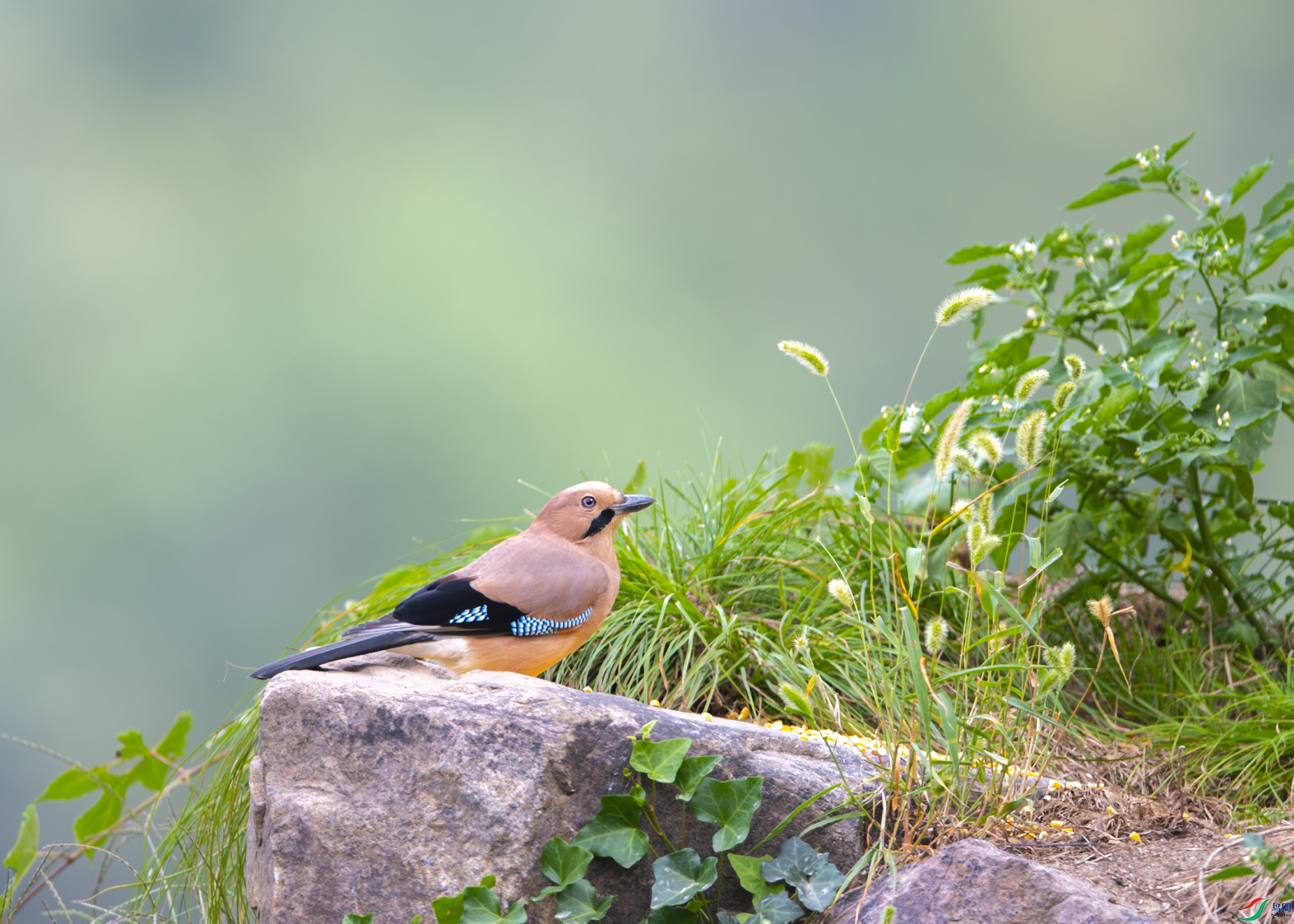 0202 ����-1.jpg